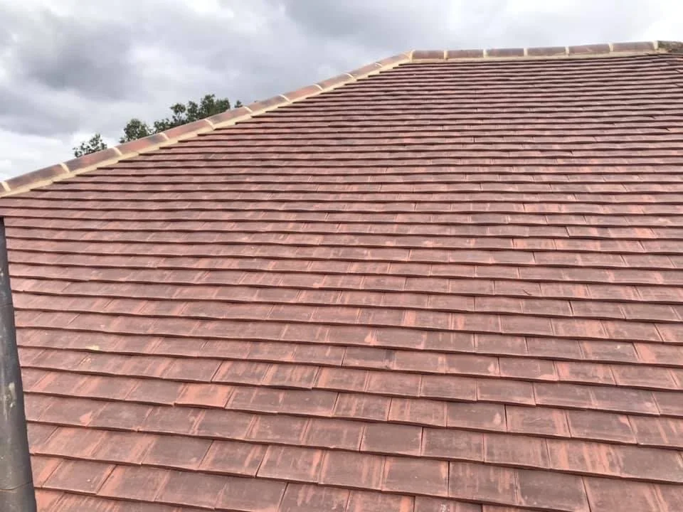 roof replace 6.jpg