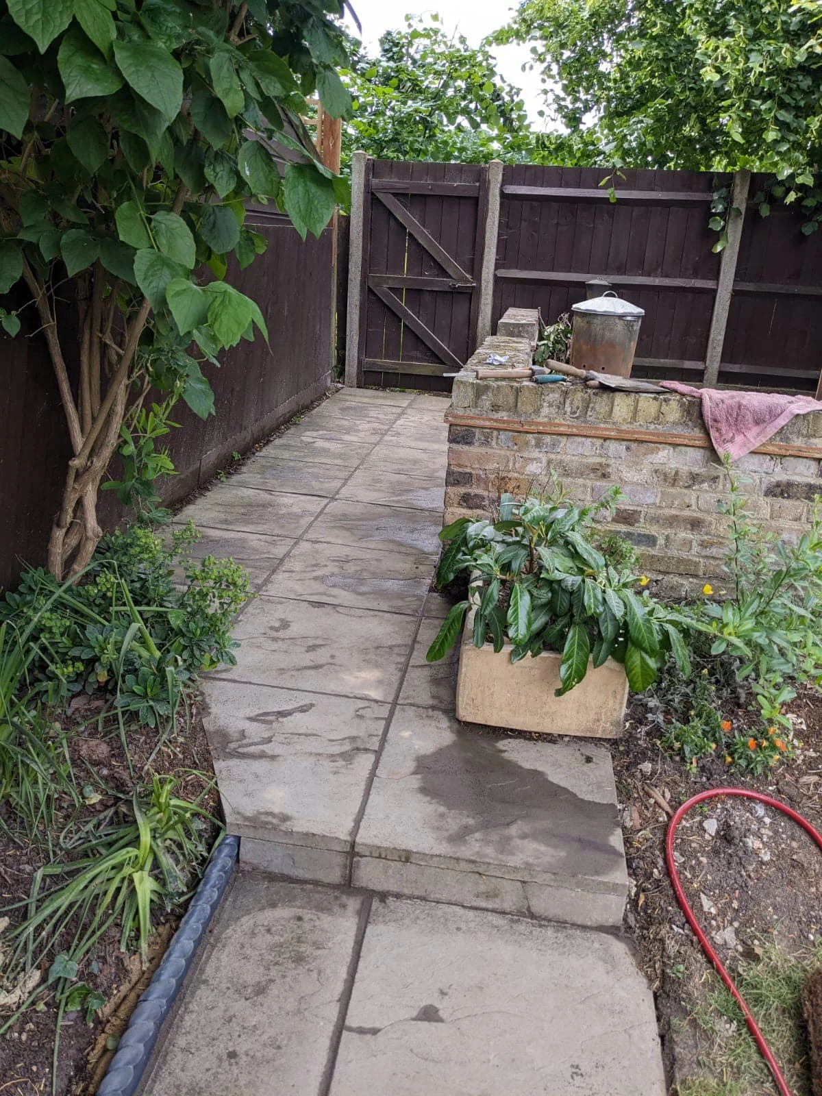 A small garden pathway with concrete slabs, edged with plants and shrubs, leading to a dark wooden gate and fence. There is a brick structure with gardening tools and a pink towel on top, and a garden hose on the ground.