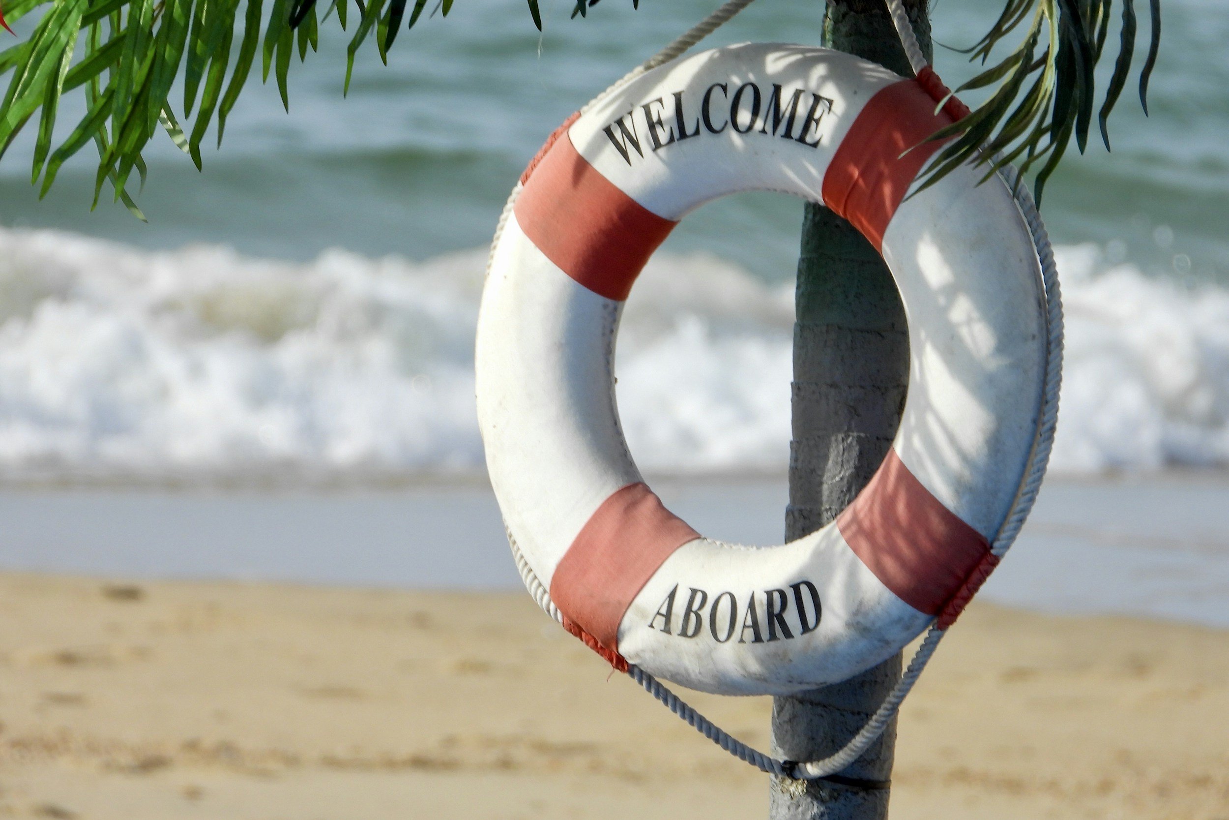 Beach scene, with a buoy tied to a tree- its a red and white circle and says all aboard.