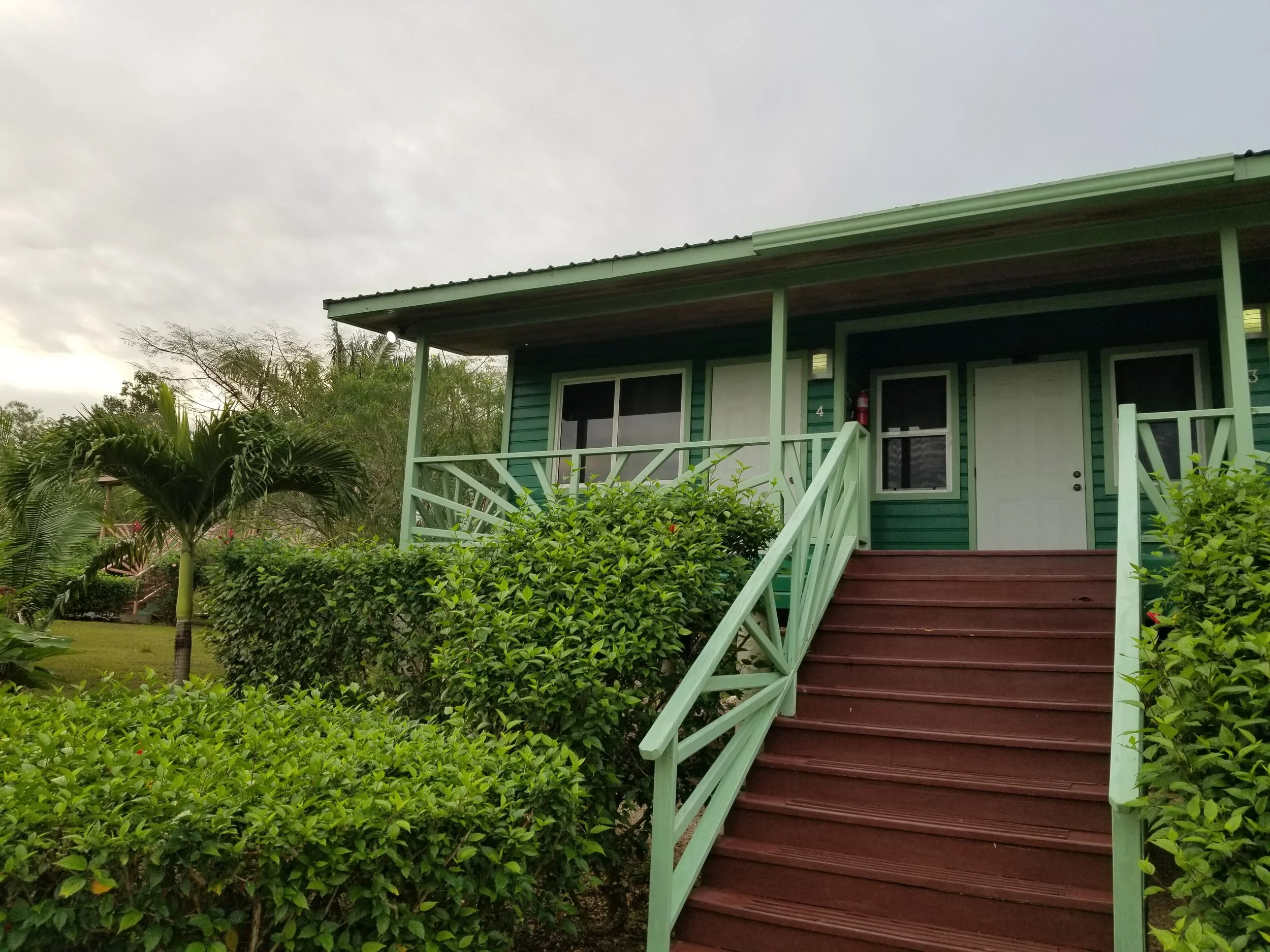 A green house in the middle of the jungle of Belize. Some stairs going up to the front door, that is also green. The home has a big porch.