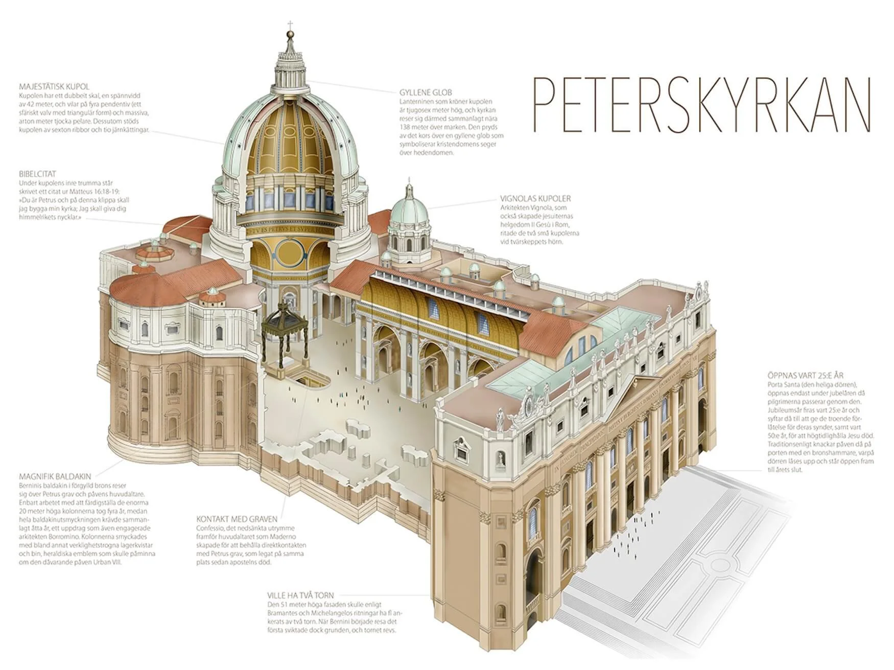 An architectural illustration of St. Peter's Basilica in Vatican City, highlighting its domes, columns, and detailed façade with labels describing its features in Swedish.
