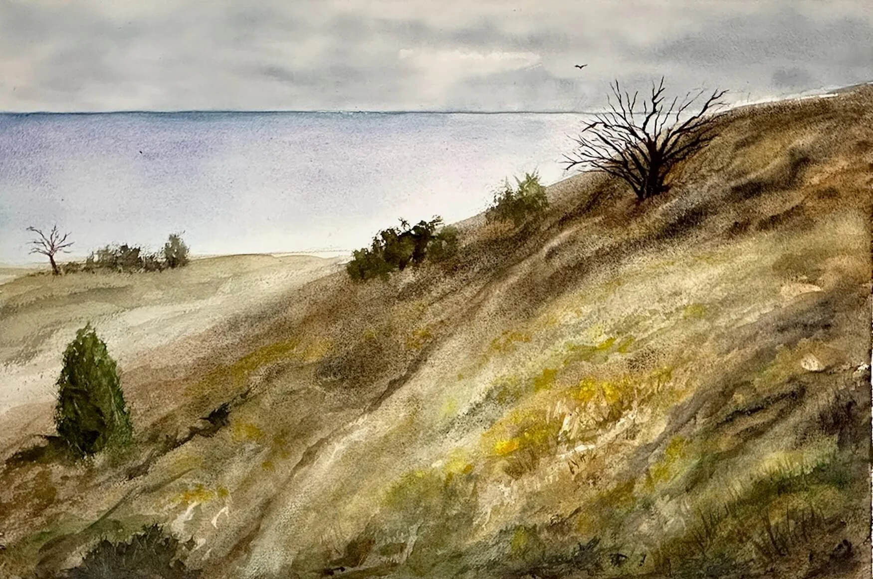 Watercolor painting of a hilly landscape with sparse trees and bushes, cloudy sky, and a bird flying overhead.