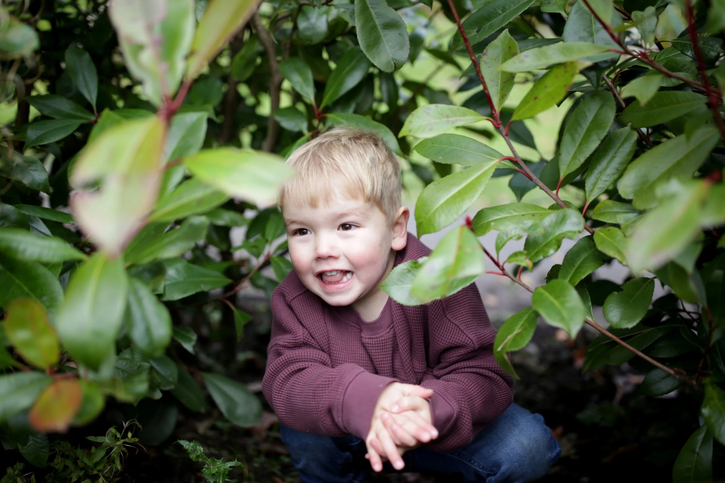 MINI MITCHELLS 092 E.jpg