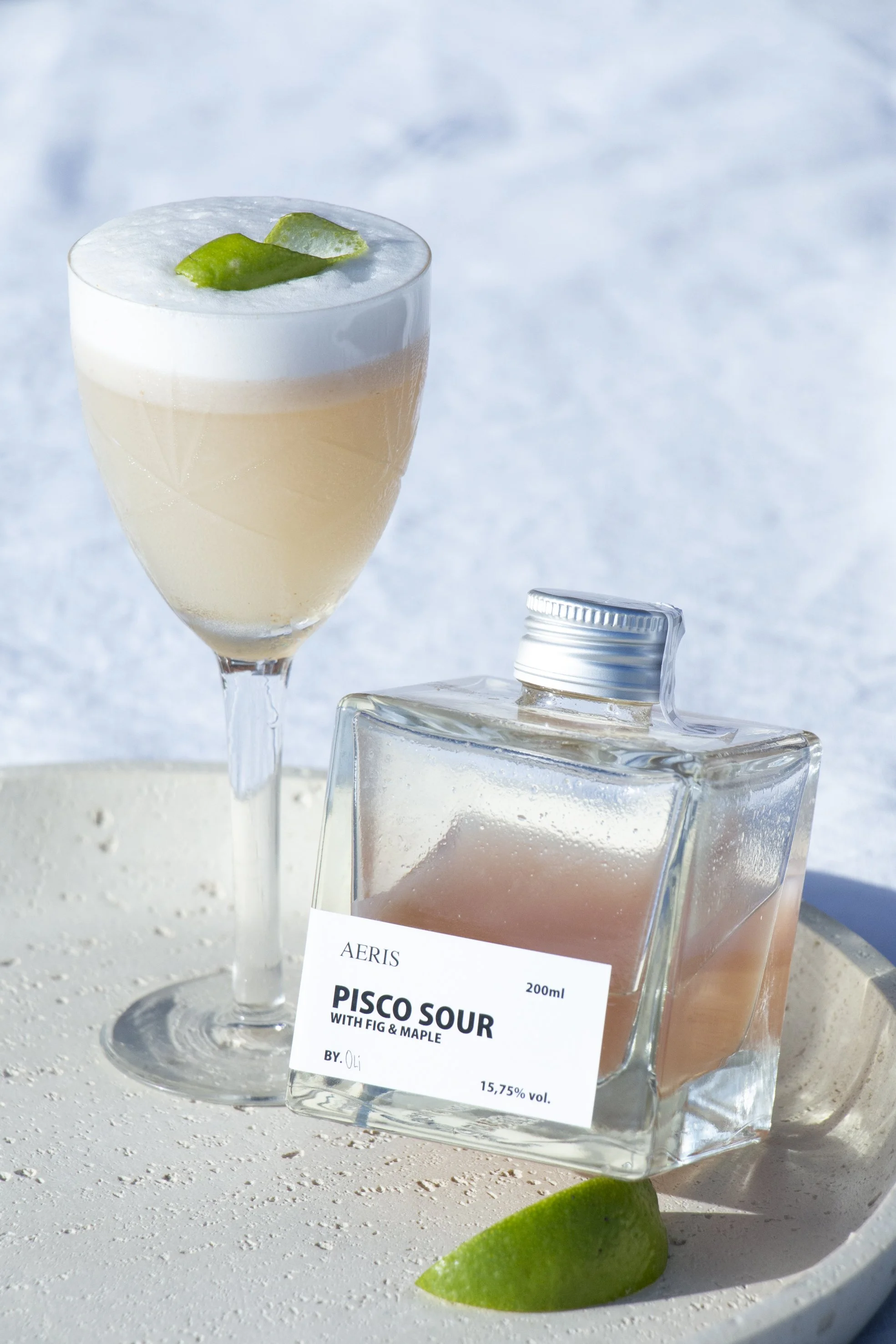 CaseStudy_PiscoSour_lopapamicaela_1-12.jpg