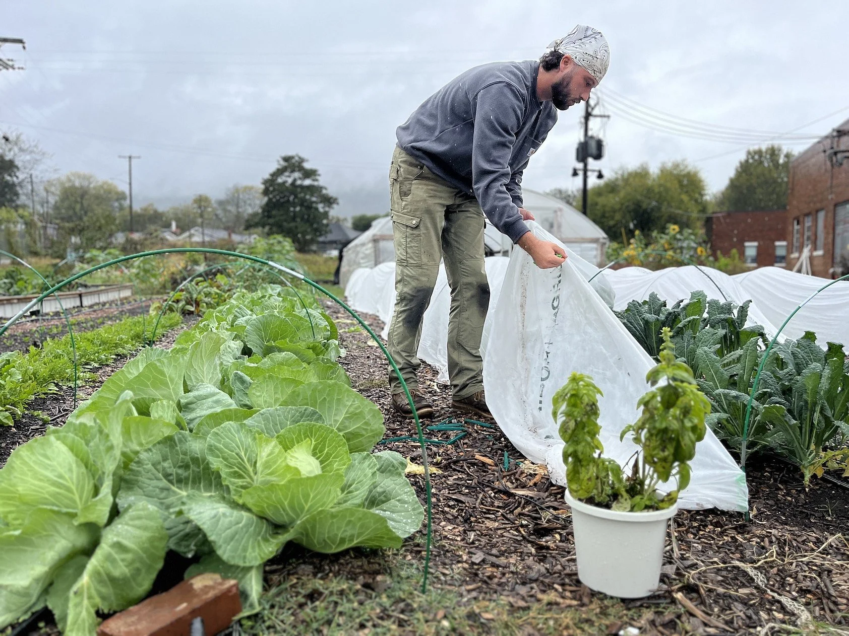 Chattanooga churches, organization coordinate response to impending food aid lapse