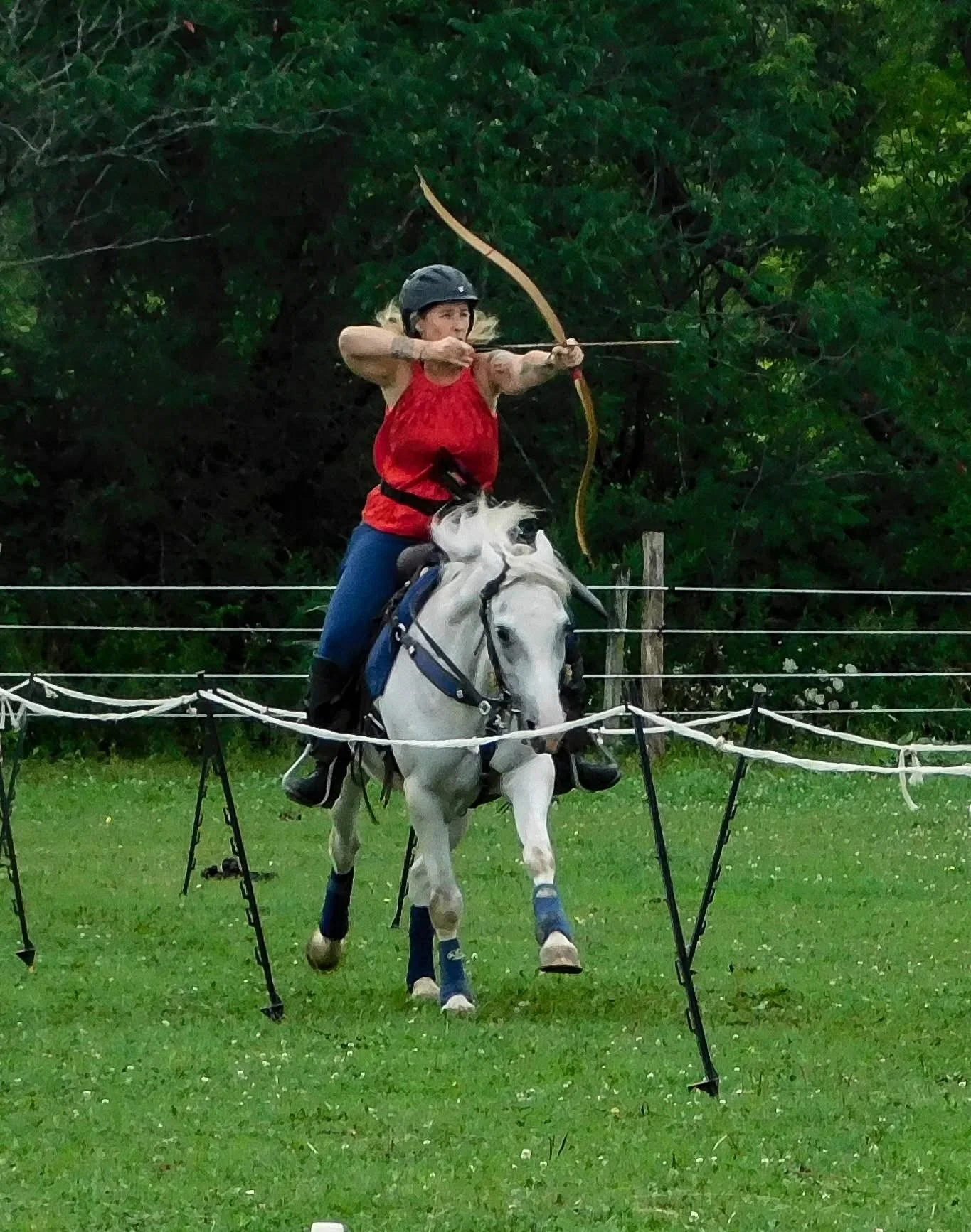 Newville, PA ~Horse Archery Clinic
