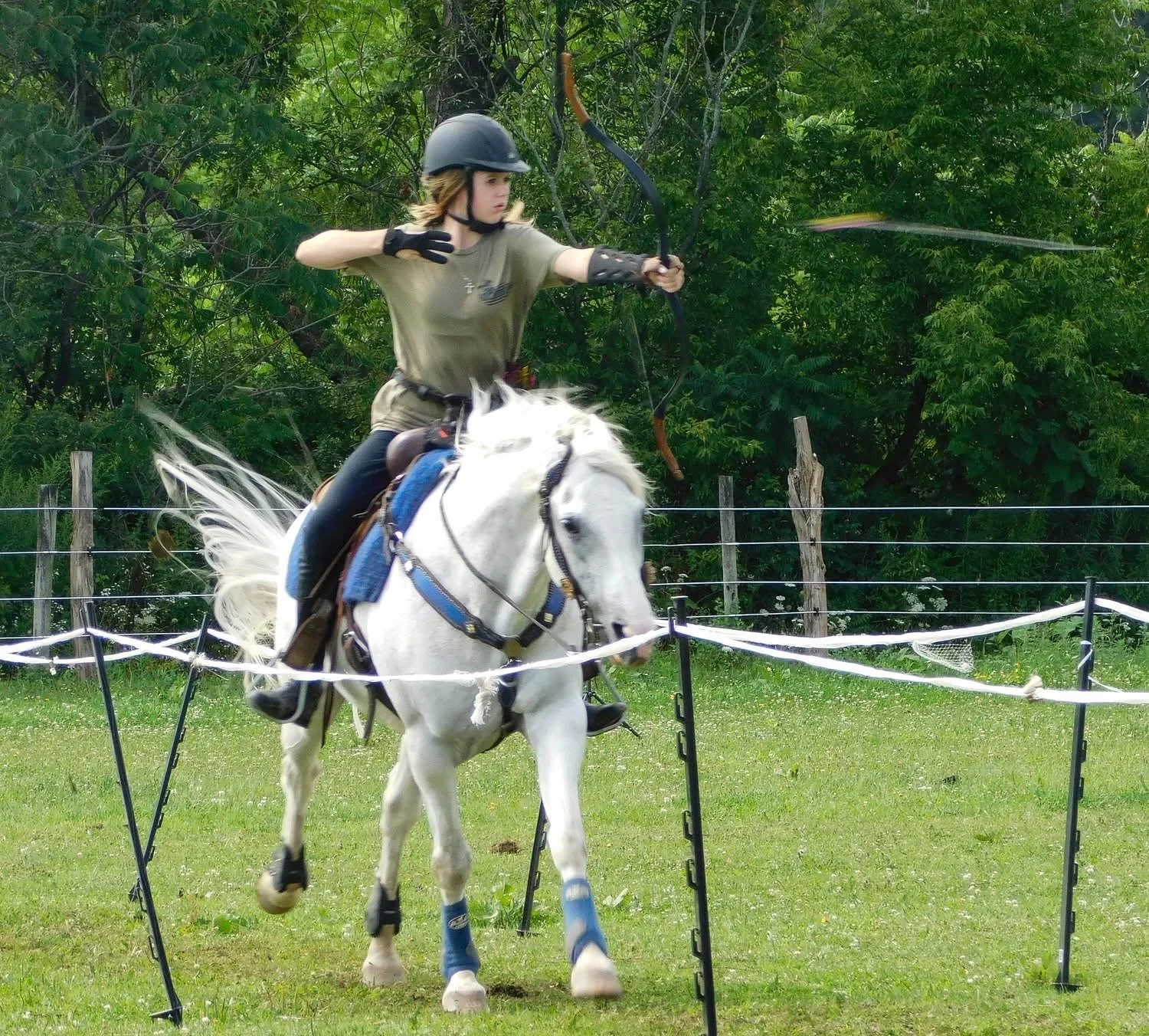 Blue Moon Equestrian Horse Archery Clinic