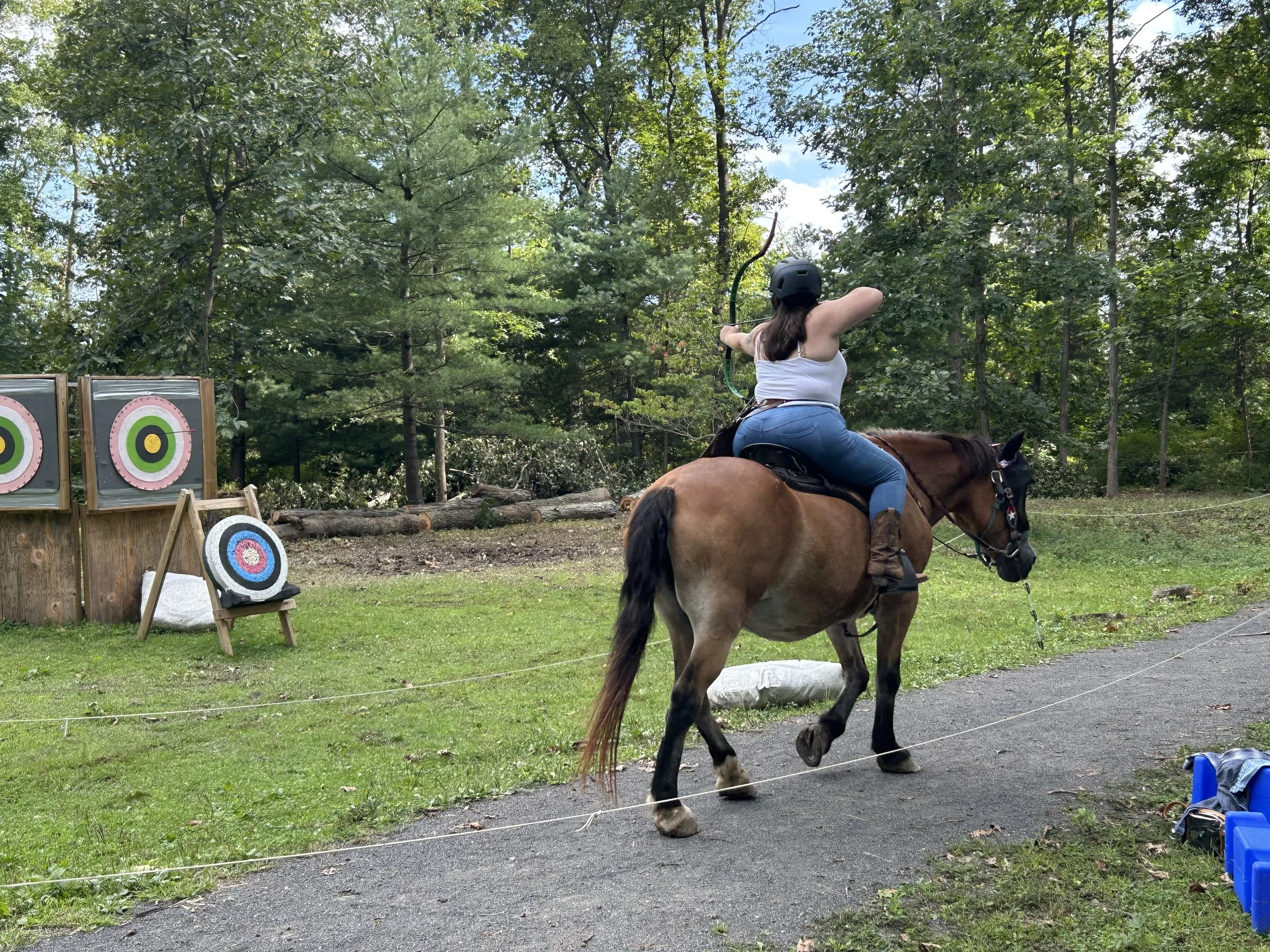 Beginner Horse Archery Clinic
