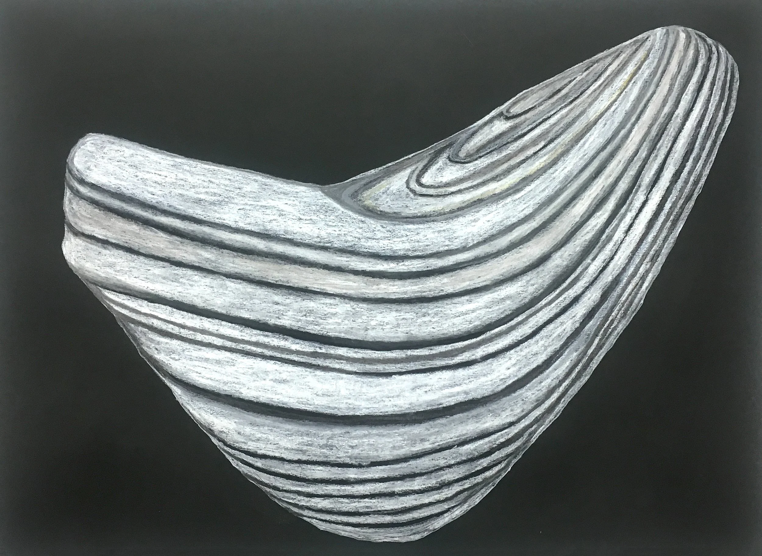 Shell Fragment 5,  22"x30”  Pastel, compressed charcoal, graphite