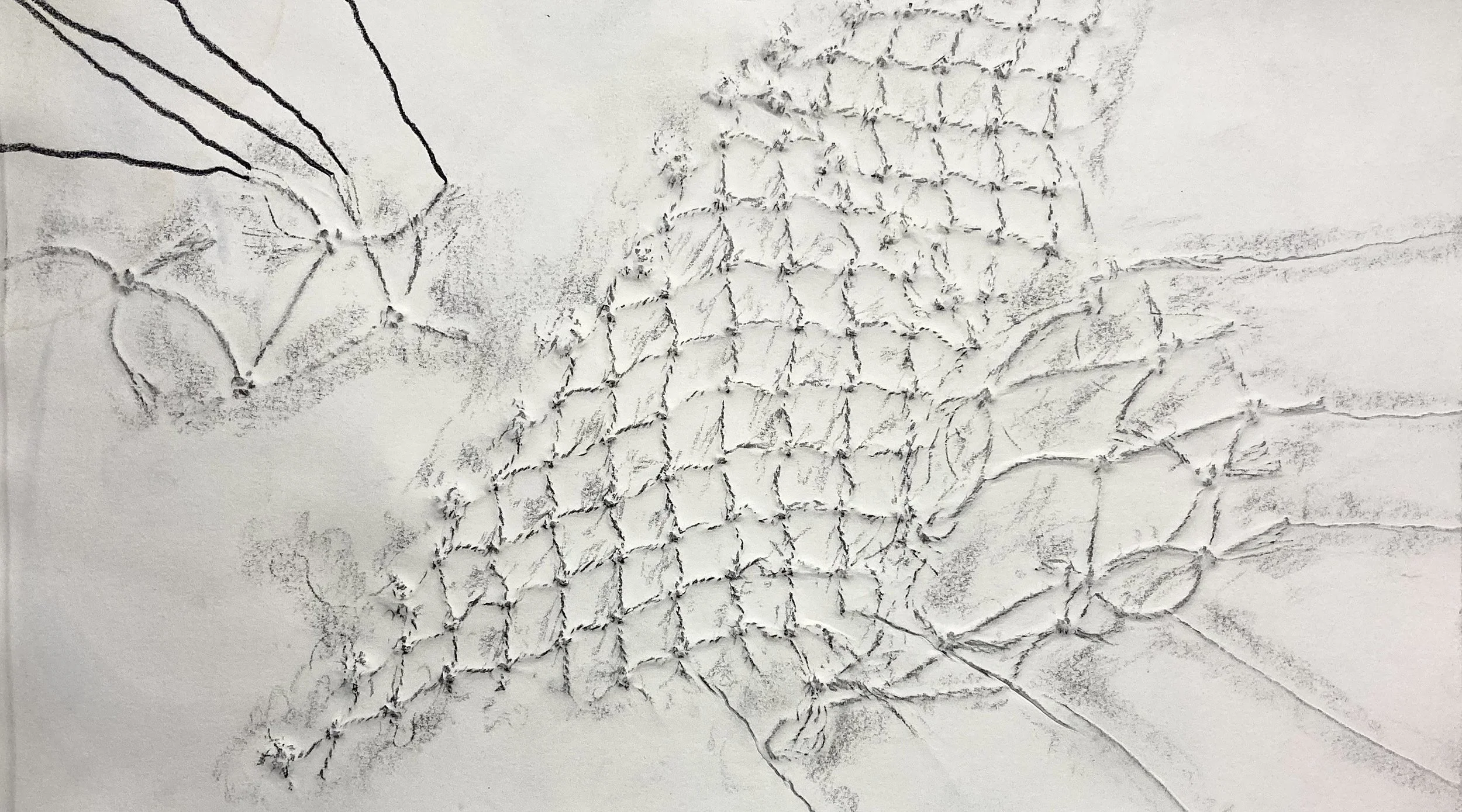 Safety Nets,  11"x19”  Embossed Monotype with Graphite