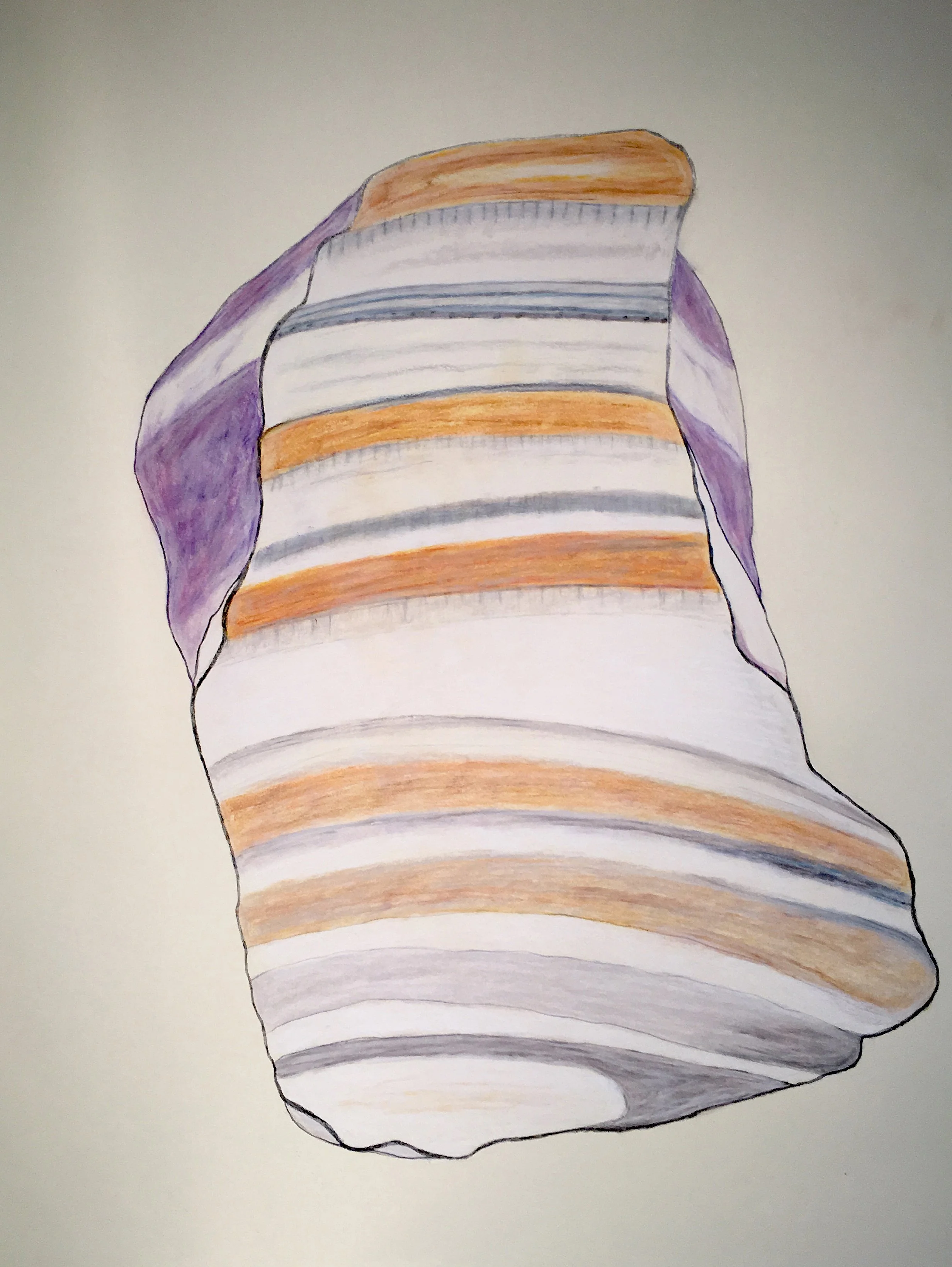 Shell Fragment 6, 30"x22",  Pastel, compressed charcoal, graphite