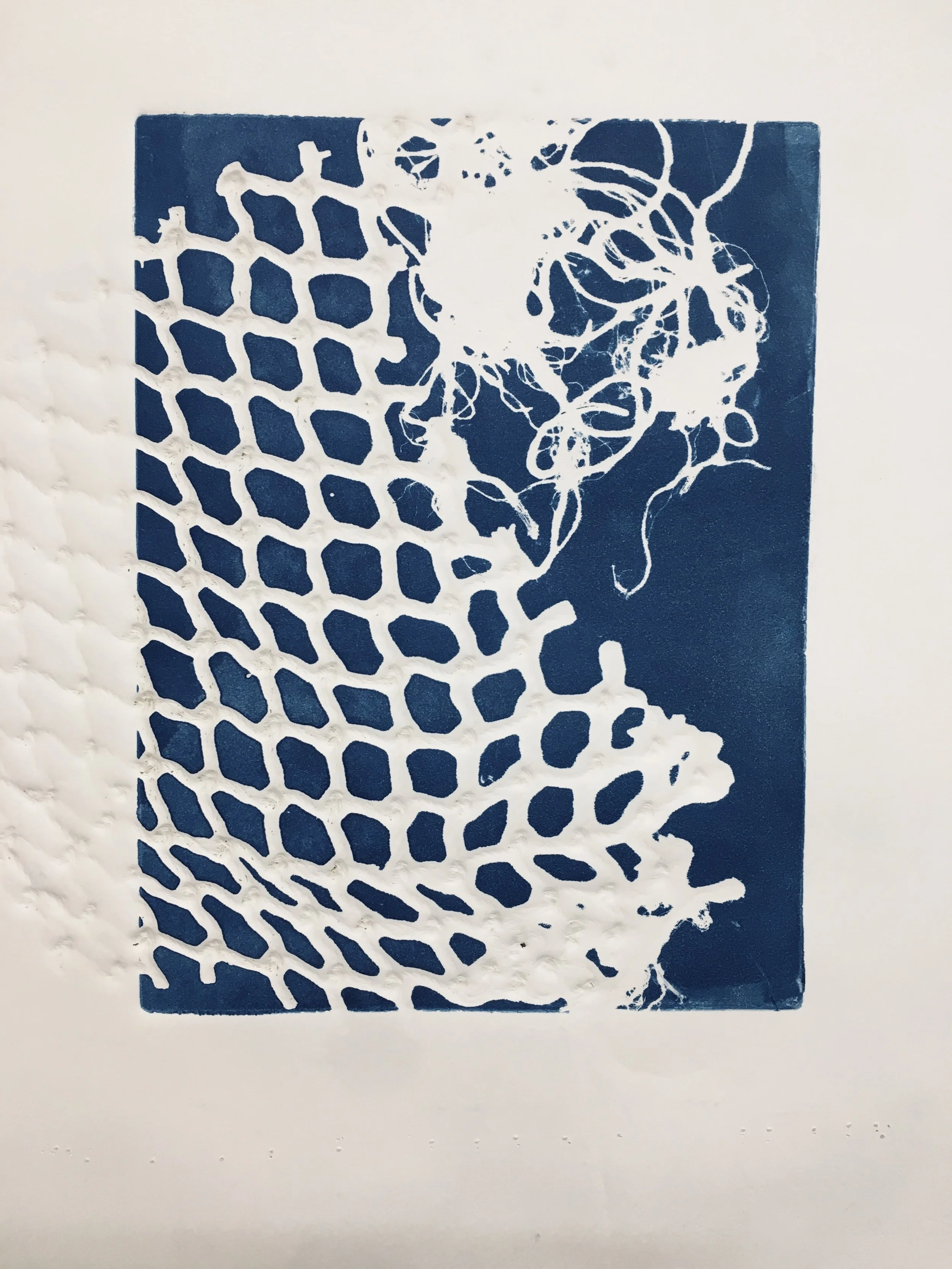Safety Nets 5,  15"x11”  Akua Ink Monotype