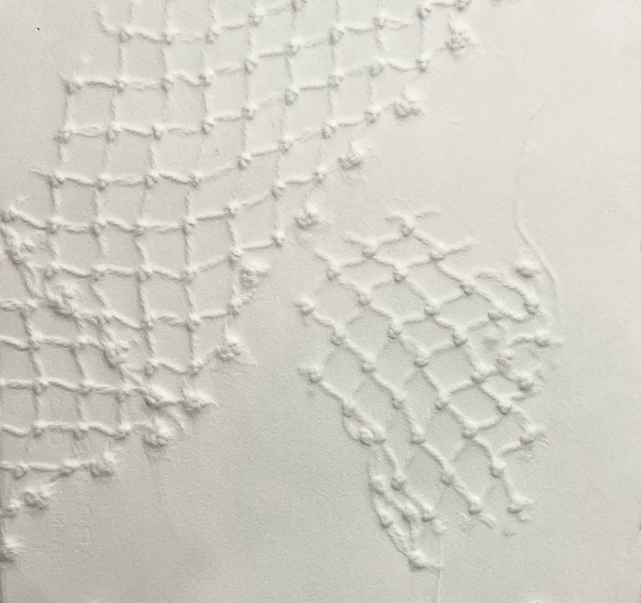 Safety Nets 2,  11"x11”  Embossed Monotype