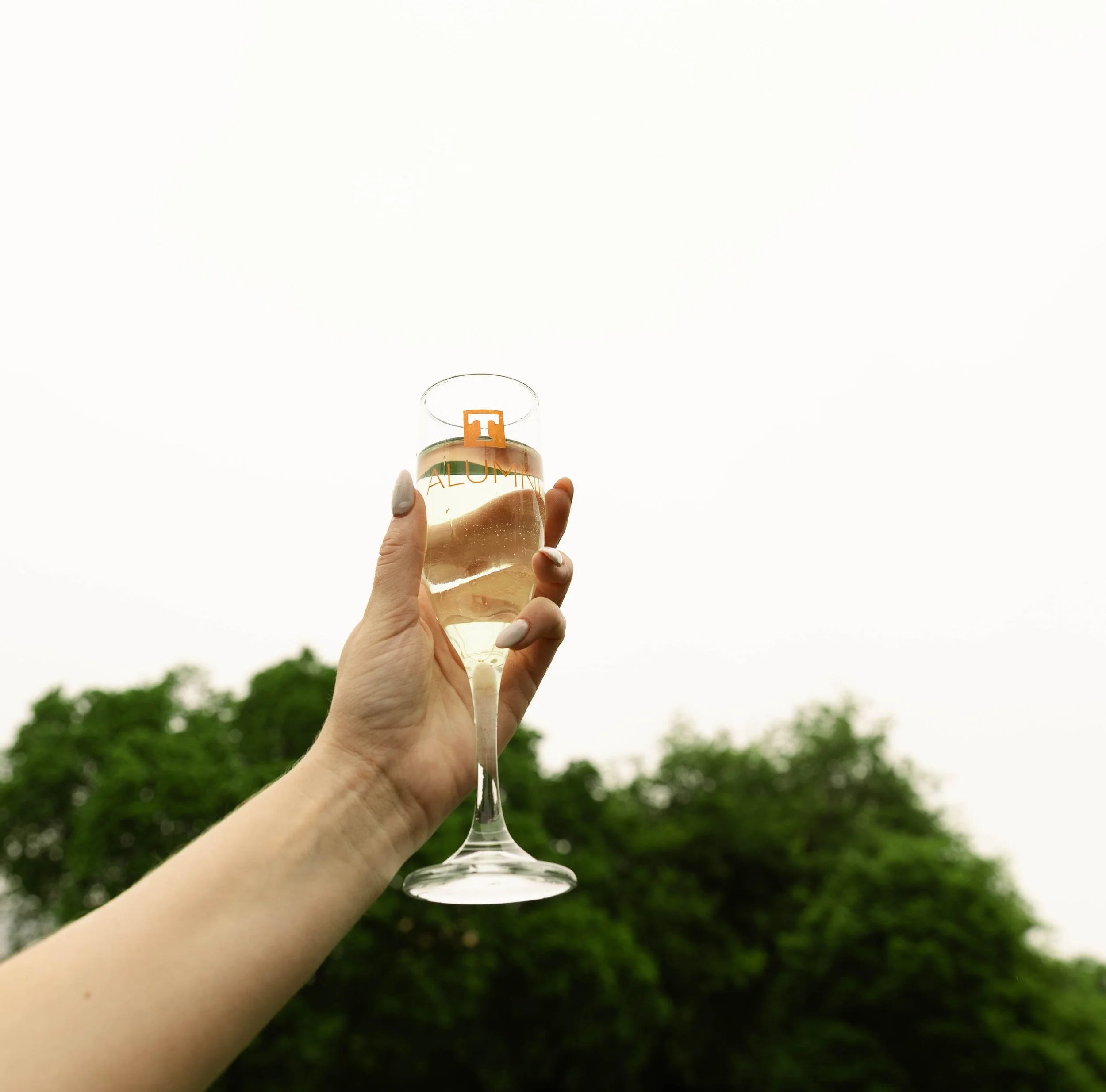 IMG_0138.jpg