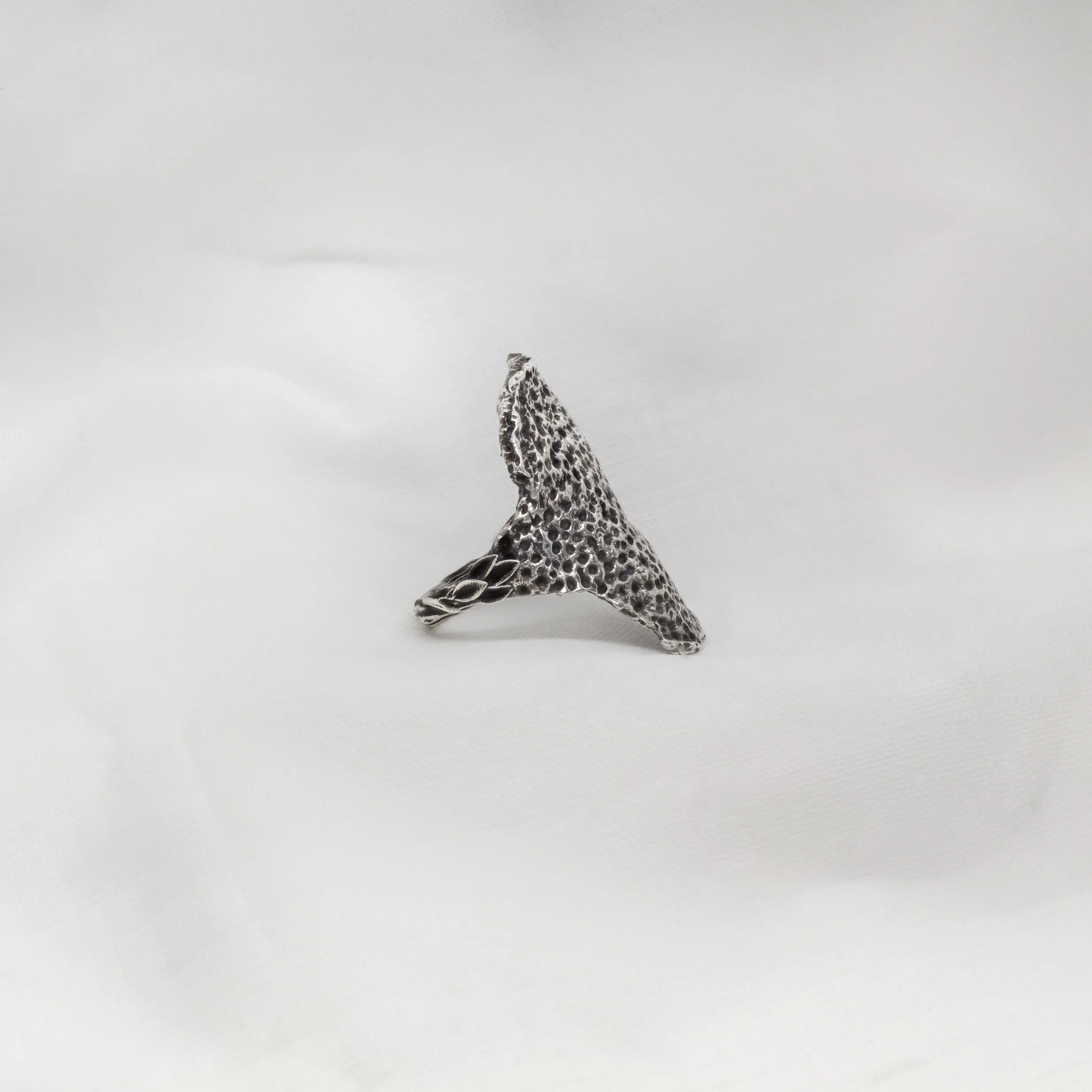 Single Tangerine Rind