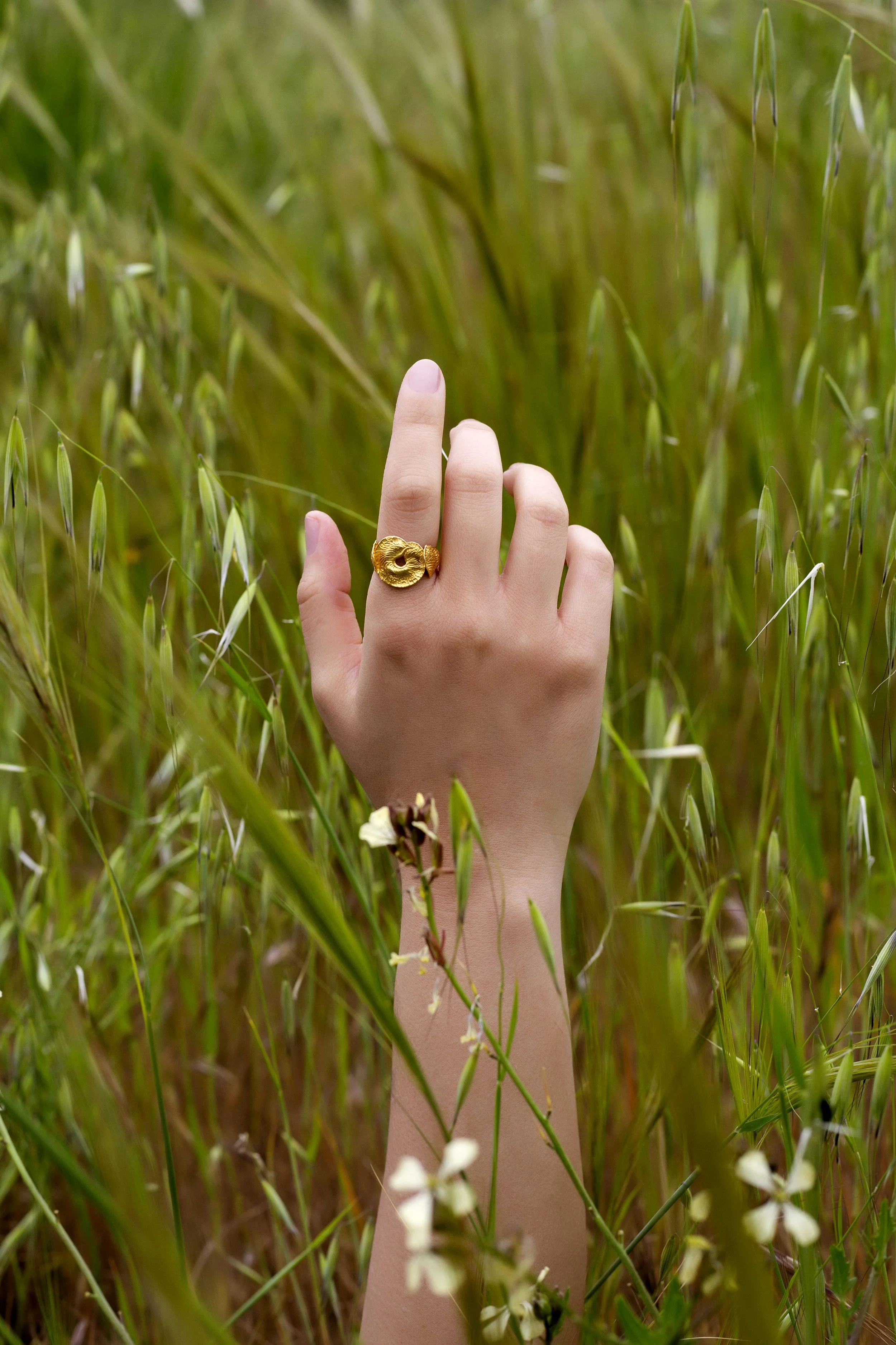 botanical-seed-spiral-ring-sterling-silver-gold-plated-cadera-jewelry