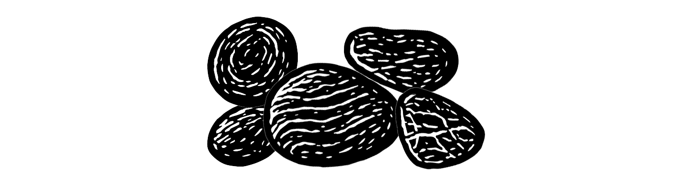 Black and white linocut-style illustration of smooth sea pebbles with organic textures
