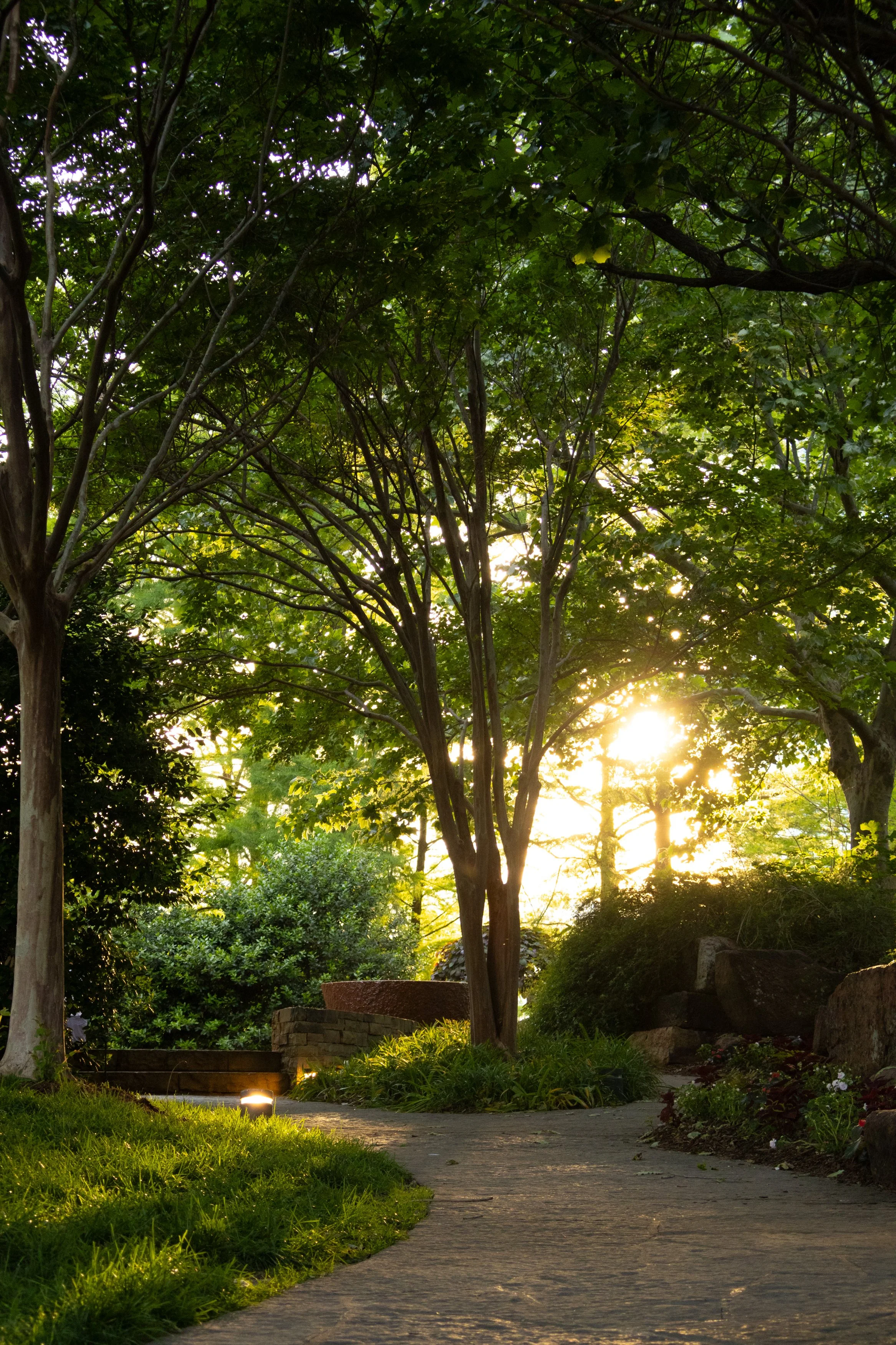 Kocak, Emily - Composition #1.jpg