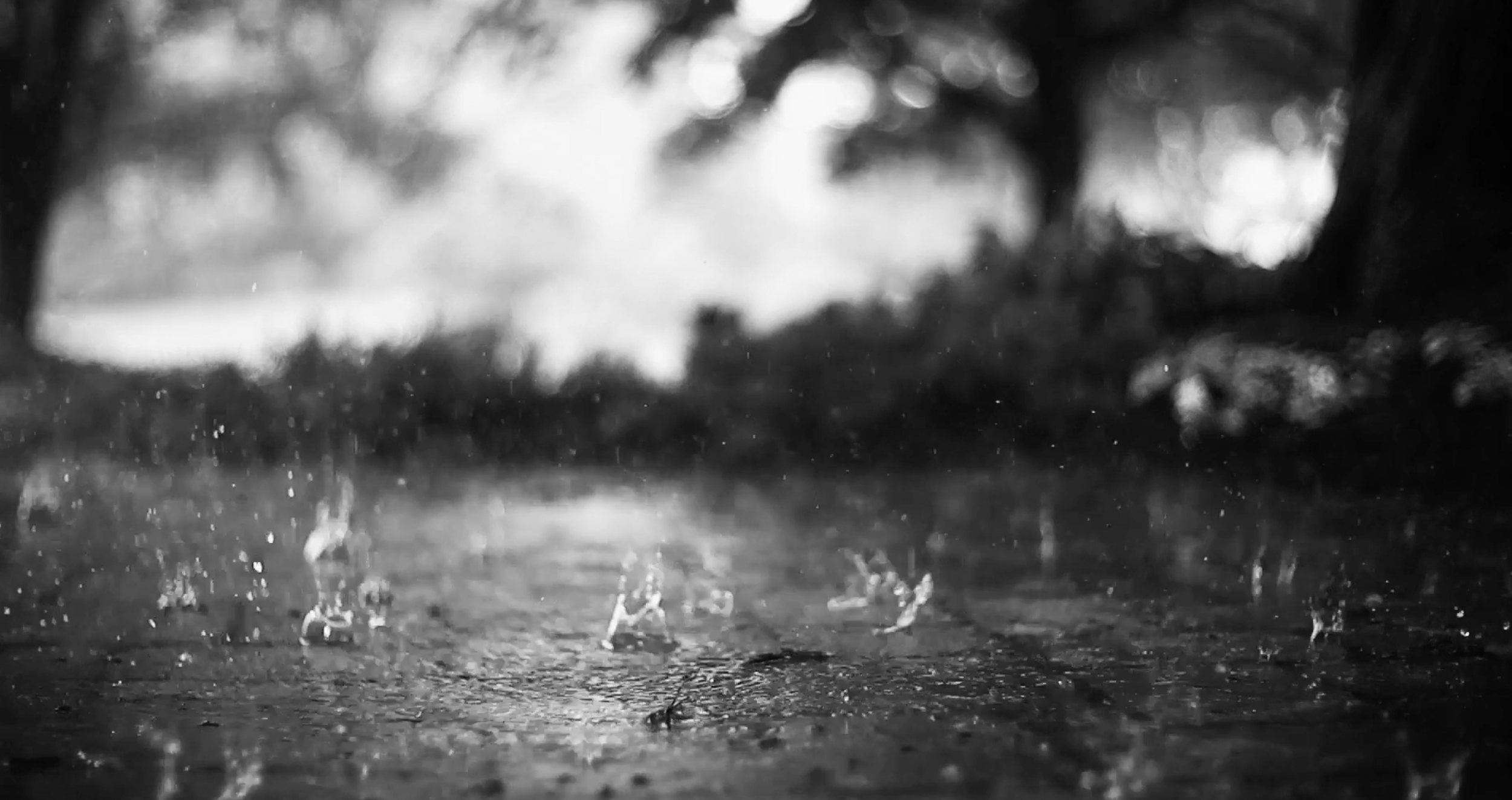 Portrait of the Family as a Definition