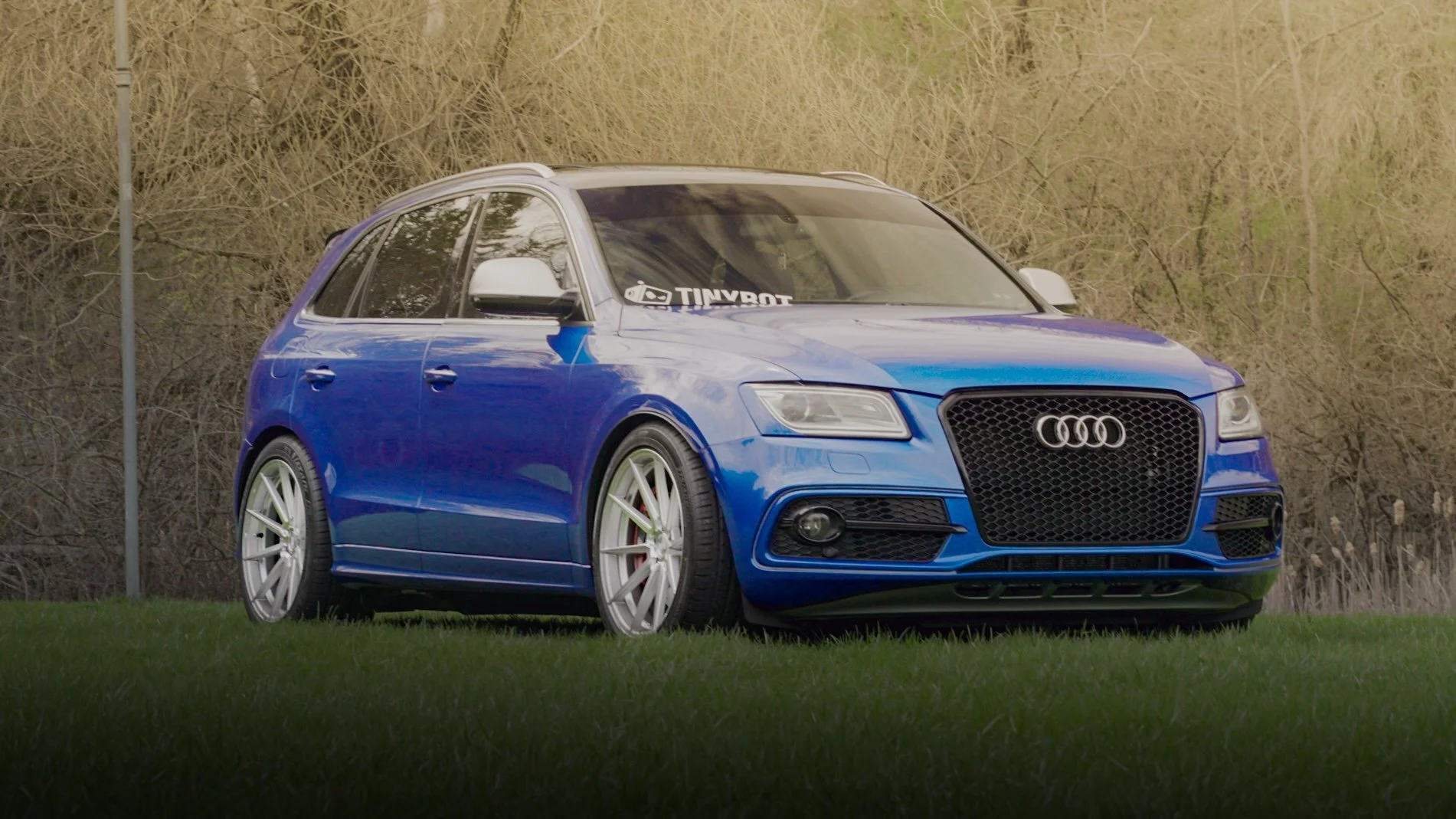A blue Audi station wagon parked on a grassy area with trees in the background.