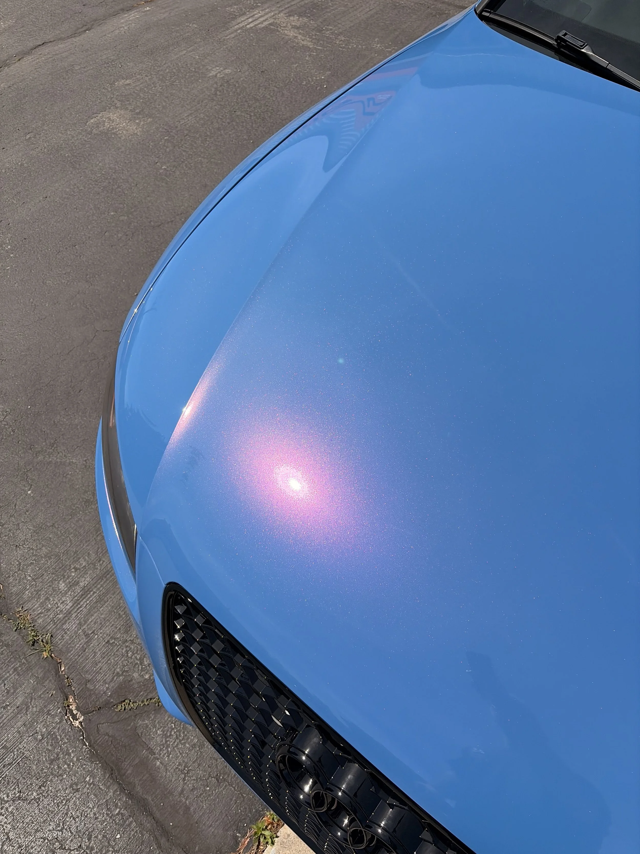 Close up shot of an Audi A5 wrapped and protected in Evolv Color Paint Protection Film