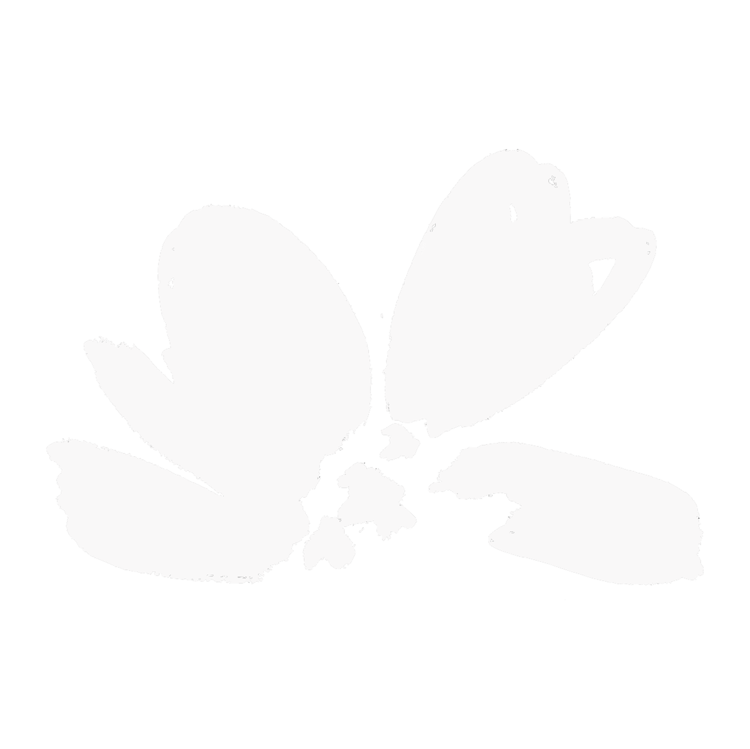 HIDDEN RIVER FLOWERS