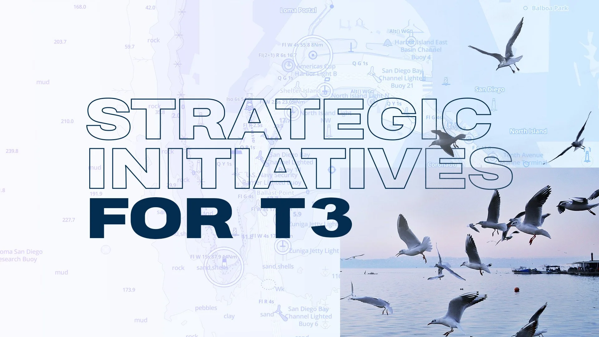 Strategic Initiatives T3.jpg