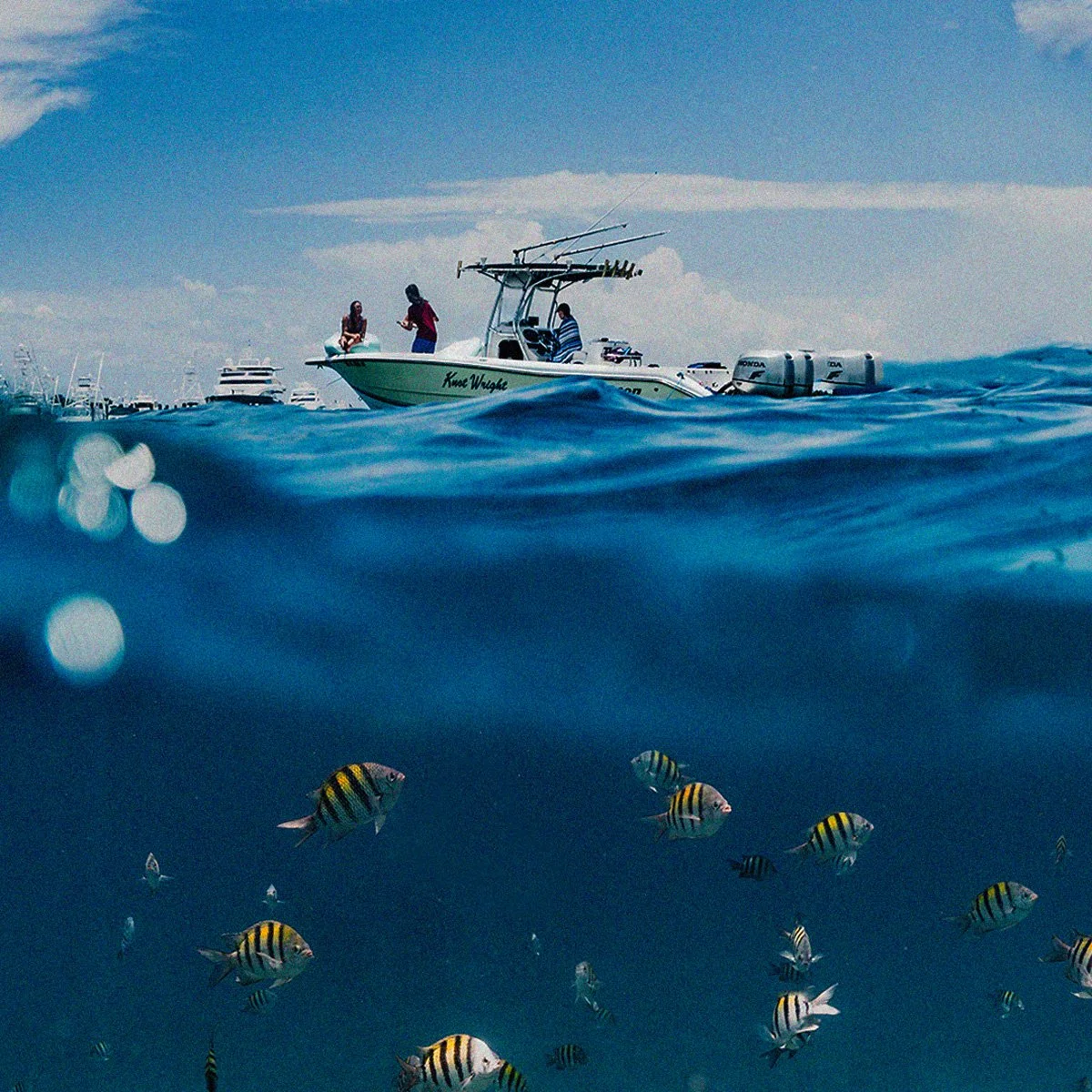 Fishing for Strategy