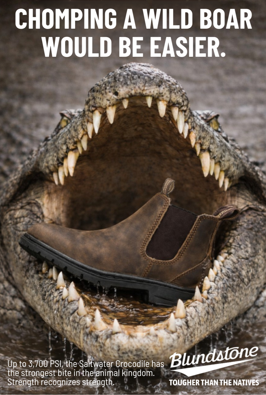 3BlundCroc+%282%29.png