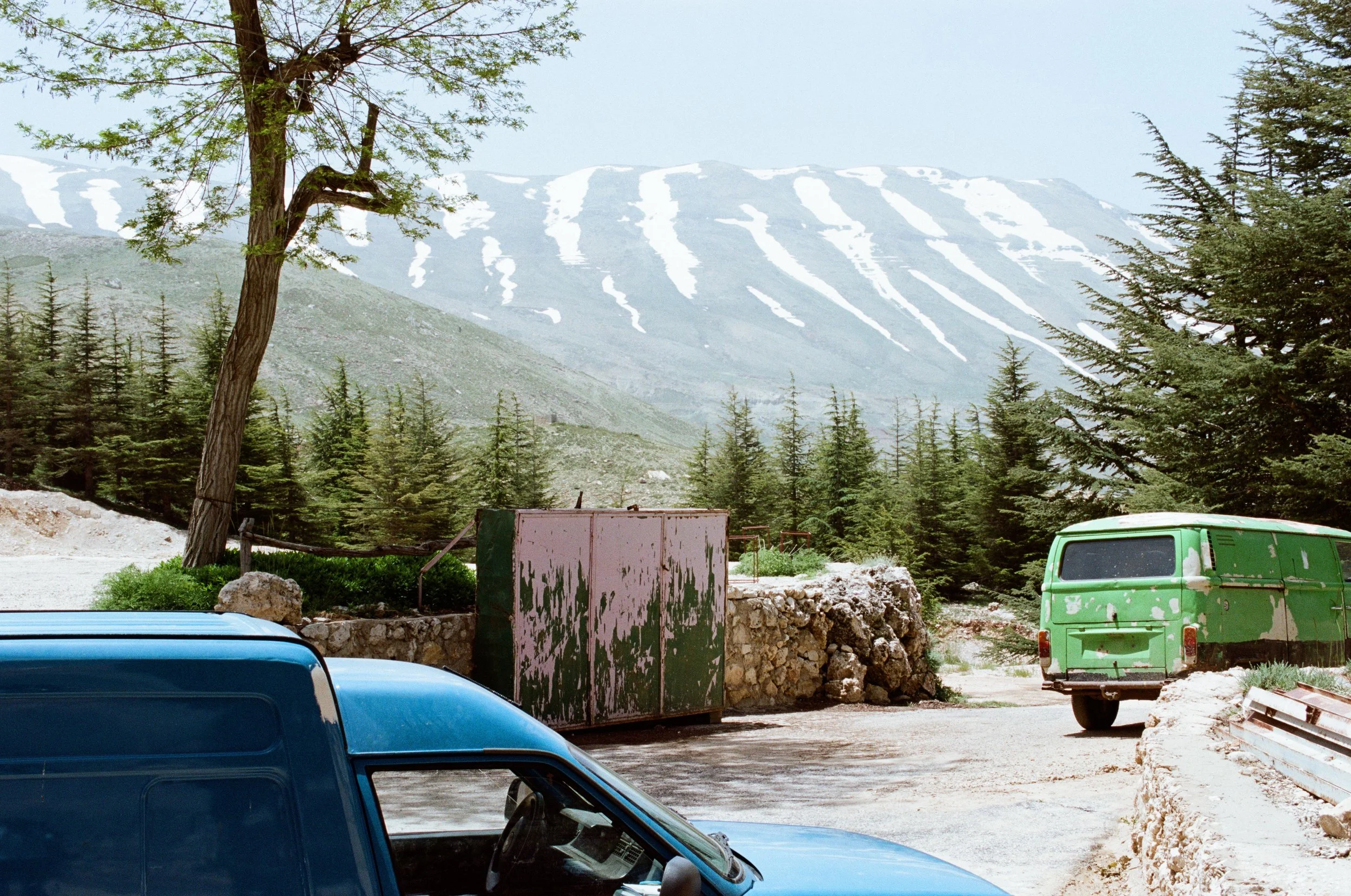 The Forest of the Cedars of God May 2016.jpg