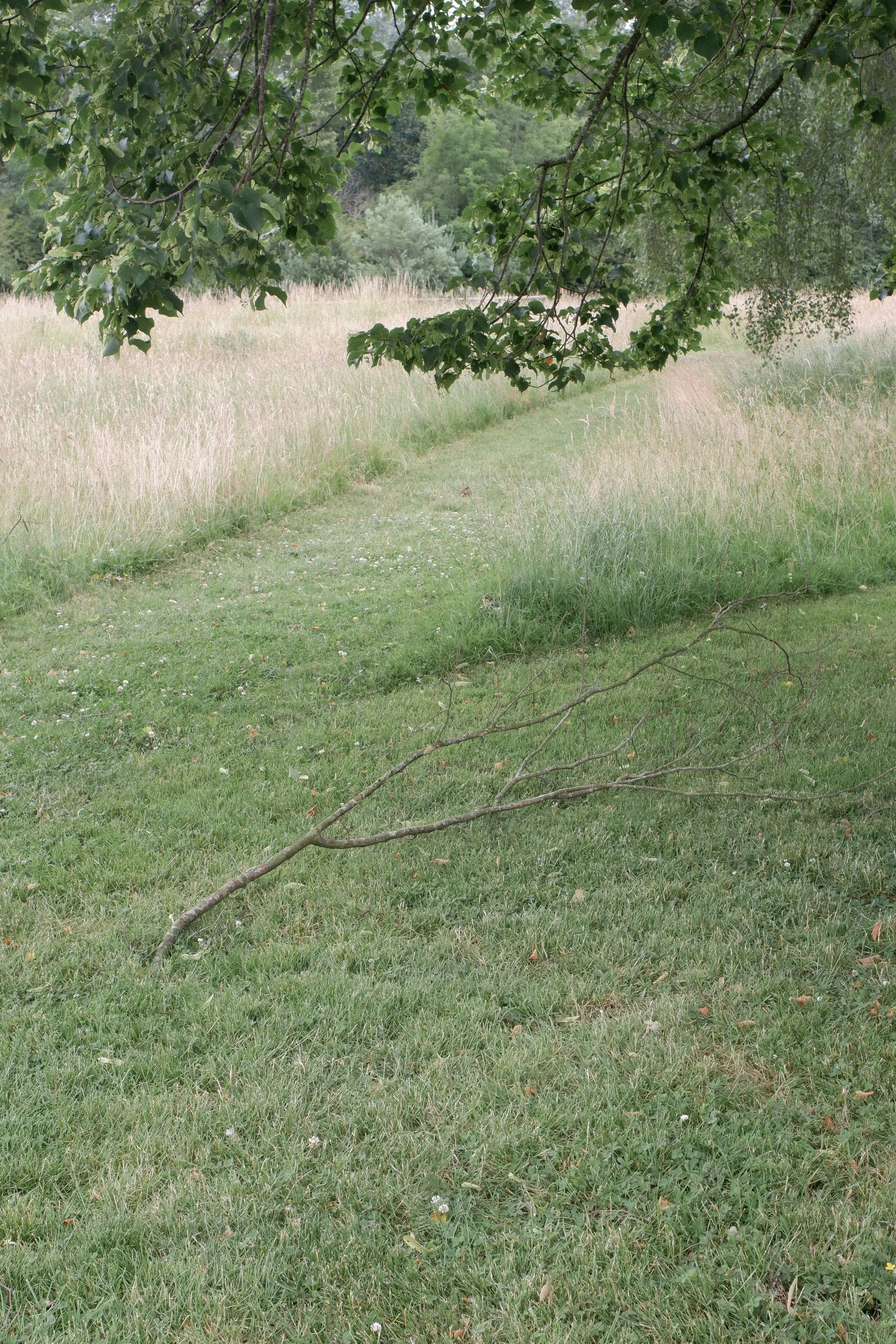010 2023-06-28 06.33.24.jpg