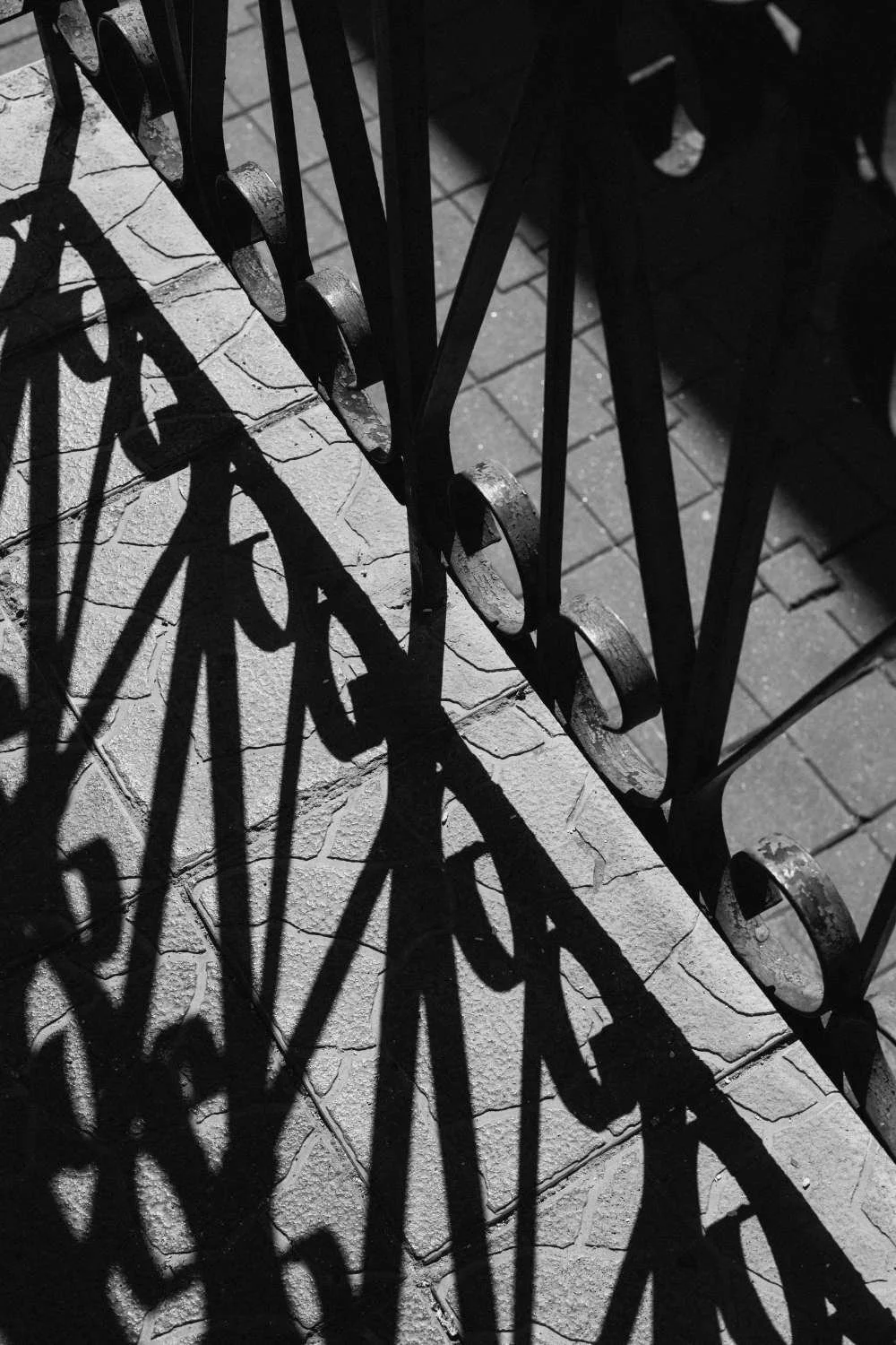 Black and white photo of a decorative metal railing casting shadows on a brick sidewalk.