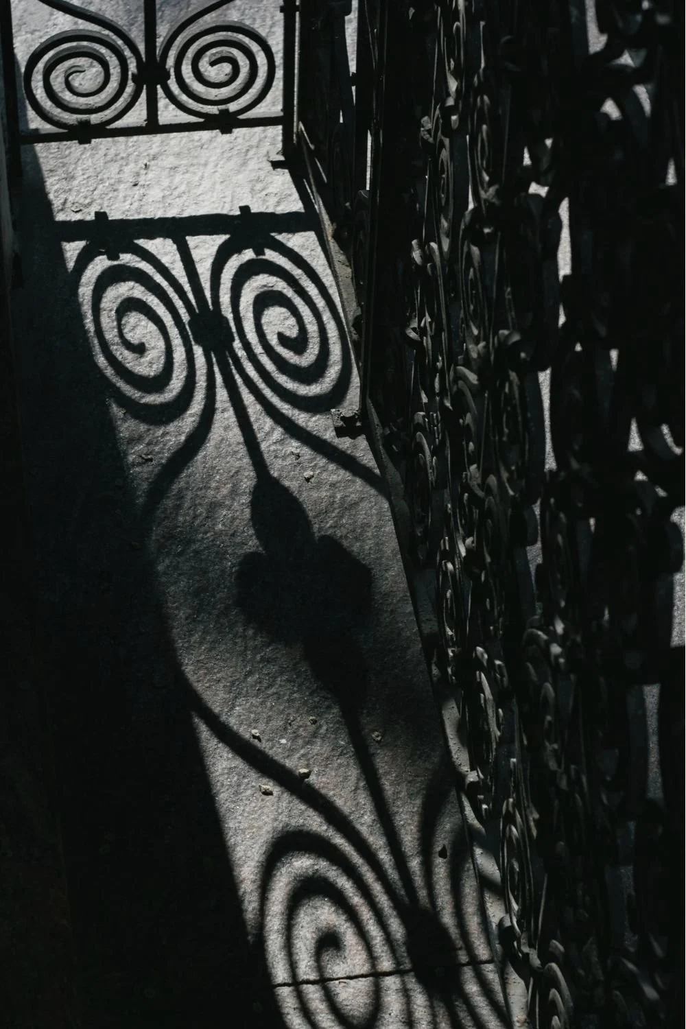Shadow of an ornate iron gate cast on a concrete floor in sunlight, creating swirling patterns.