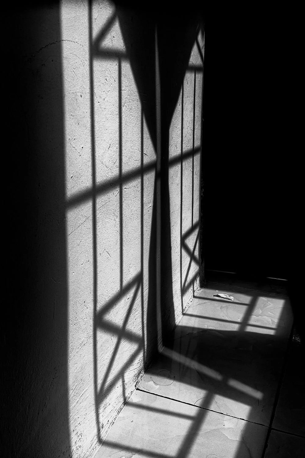 Shadow of a metal barricade cast on a textured wall and floor in black and white.