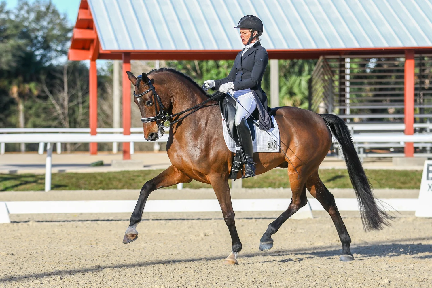 Jill Hardt riding in competition