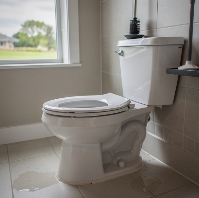 Why Won't My Toilet Stop Backing Up? 3 Real Causes