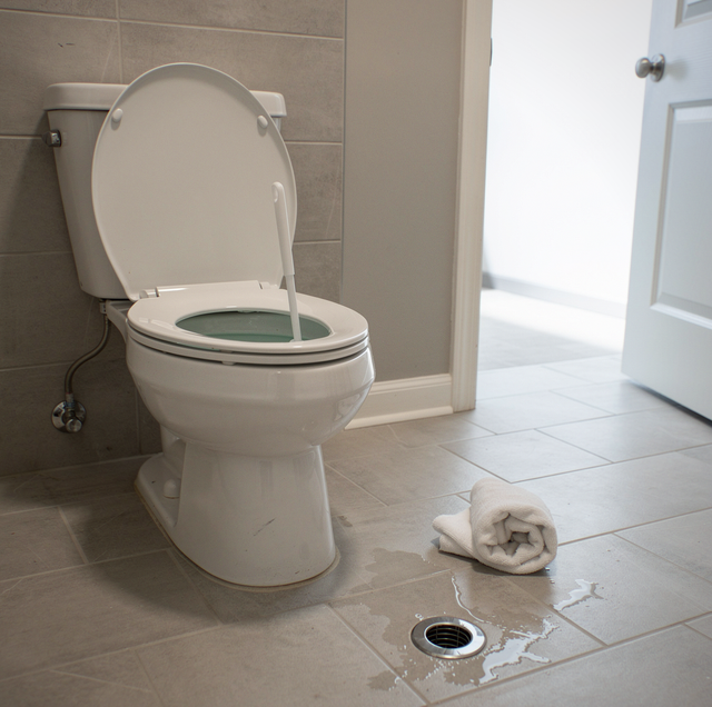 hallway bathroom toilet plunger next to overflowing bowl