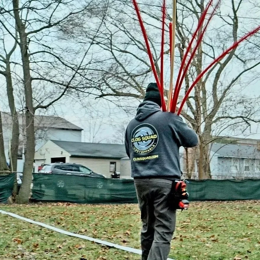 Signs Tree Roots Have Invaded Your Sewer Line
