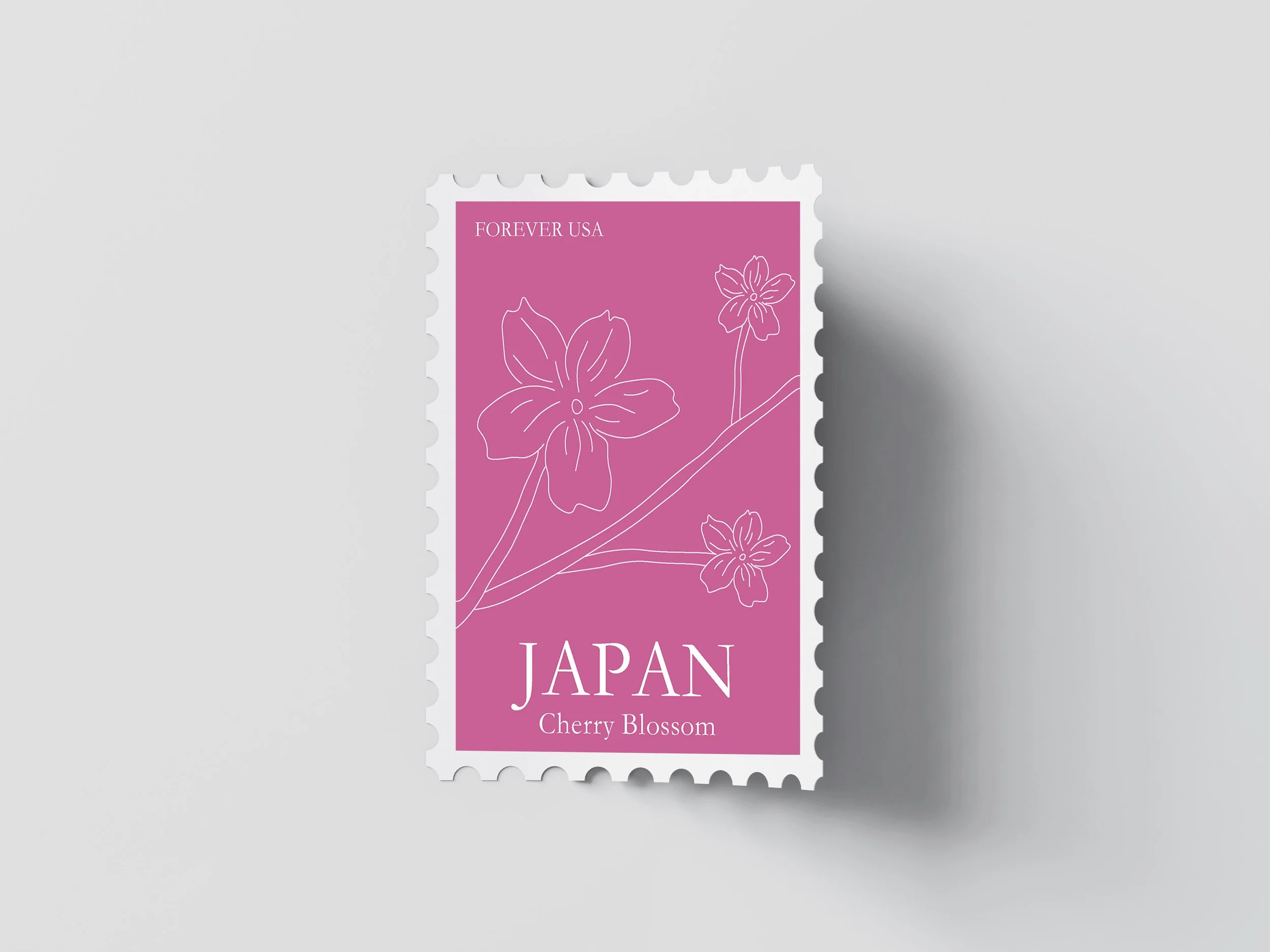 PamelaCoronado_Mockup.jpg