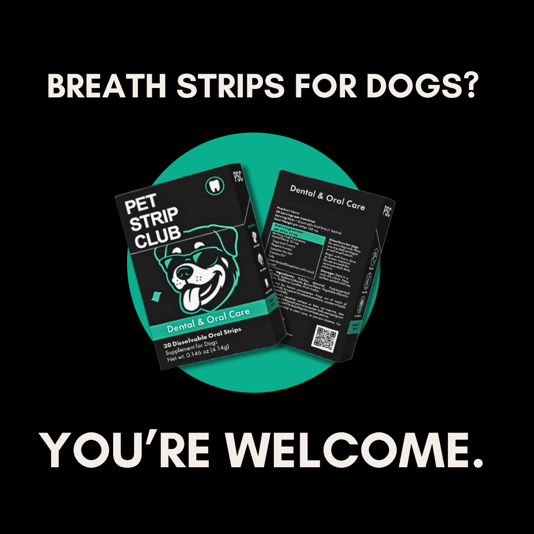 Graphic for @PetStripClub