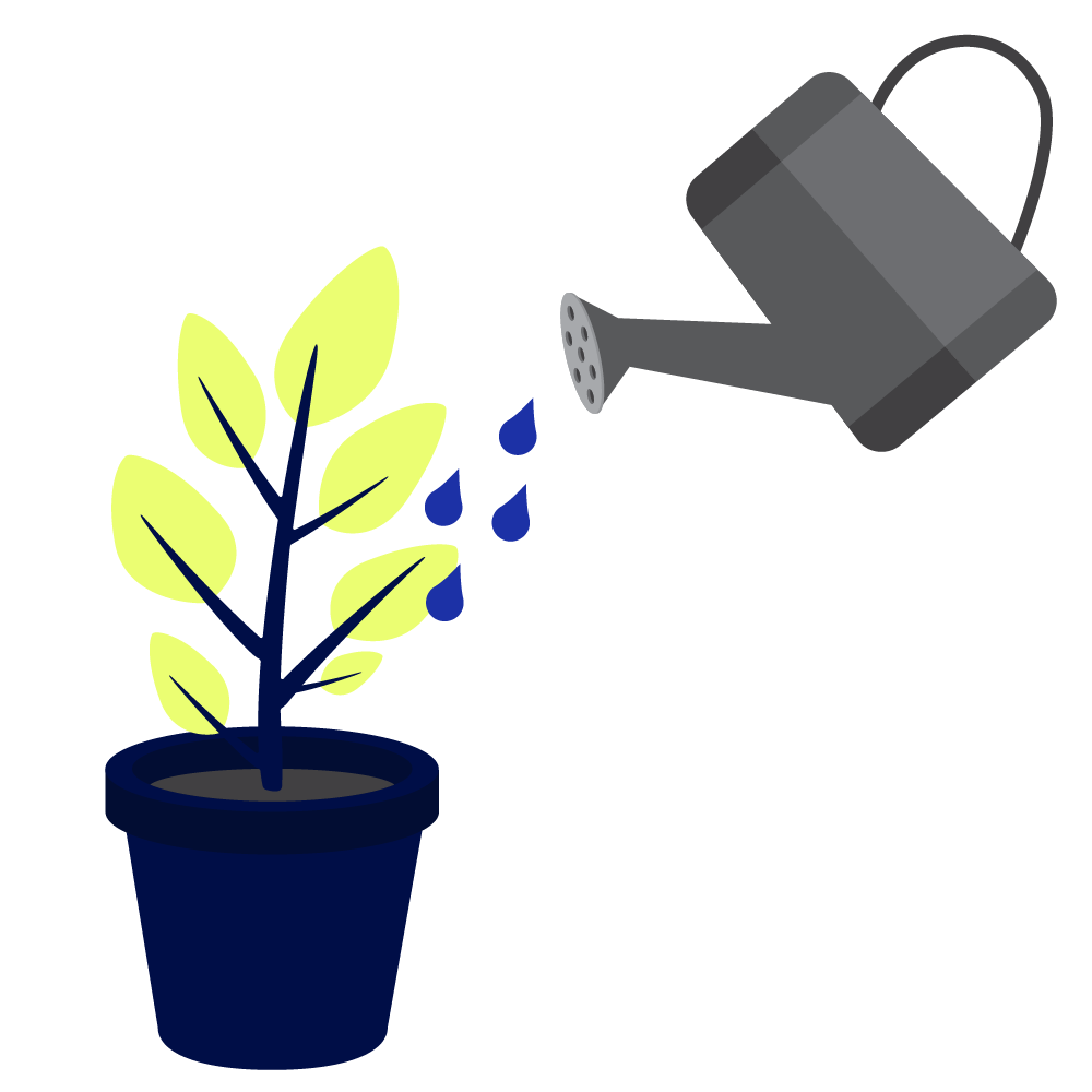 Illustration of watering a potted plant with a watering can.
