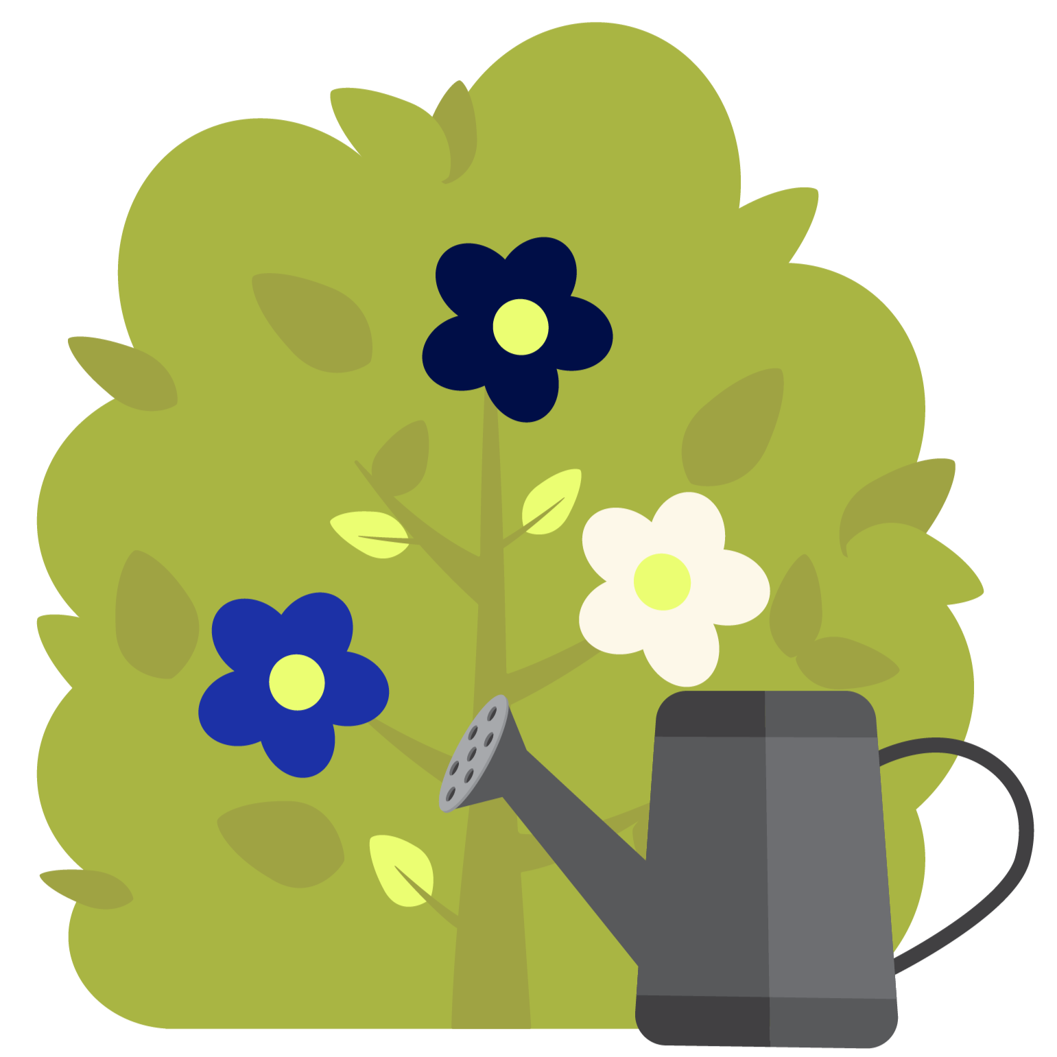 An illustration of a plant with green leaves and blue and white flowers being watered by a gray watering can.