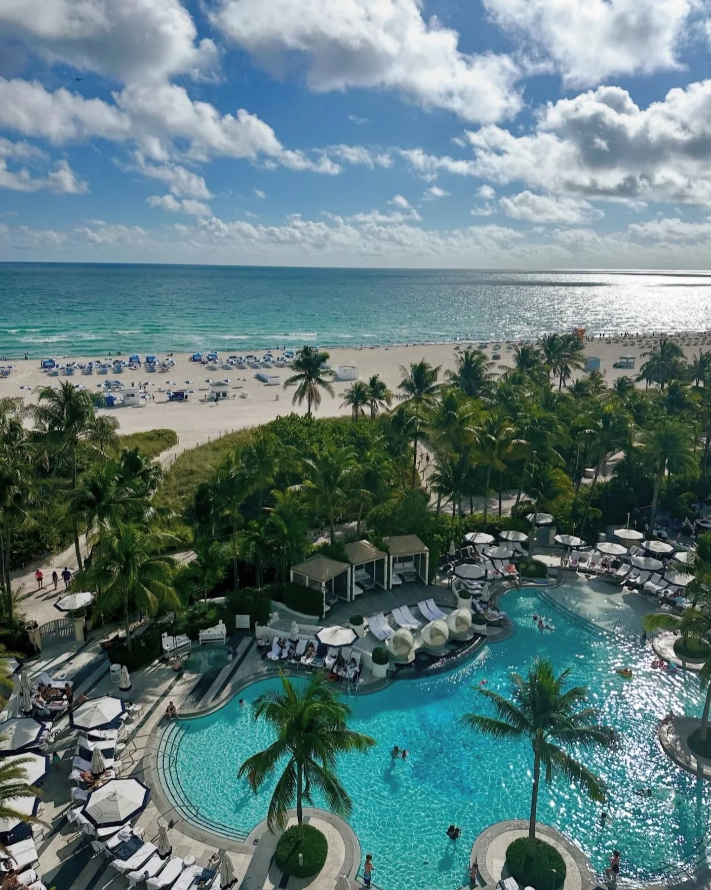 Where the ocean meets the skyline | Miami, Florida 🌴✨

From the shores of South Beach to the finest farms of South America and beyond, our blooms travel the world before arriving in your hands. We source from premier growers in Ecuador, Colombia, an