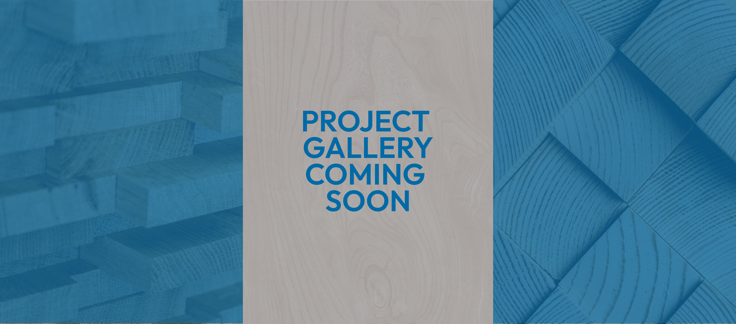 PROJECT GALLERY COMING SOON.png