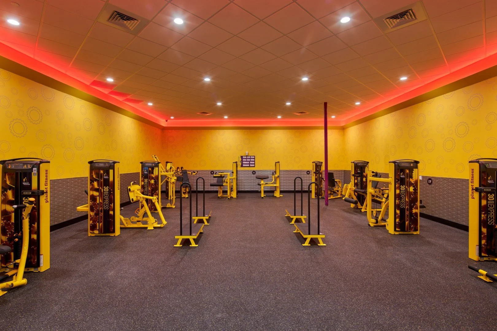 William_22-11-17_MV1A8661-Edit (Large).jpg