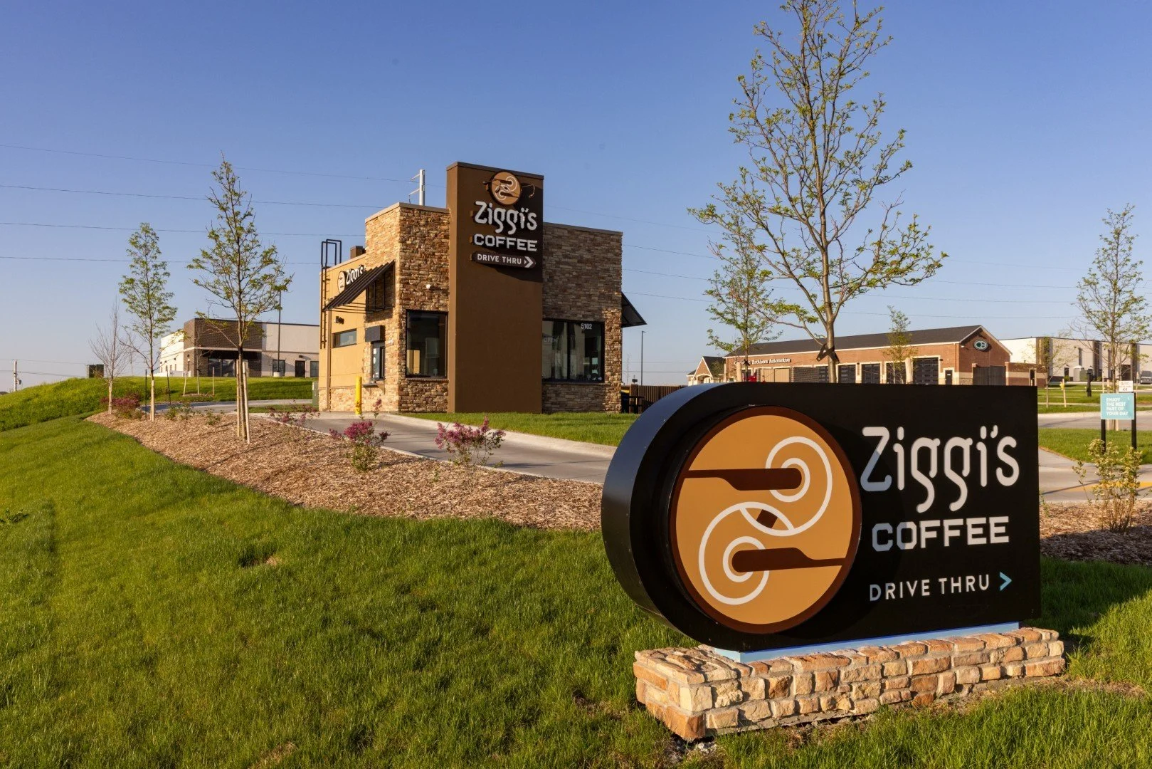 881A7810 (Large).jpg