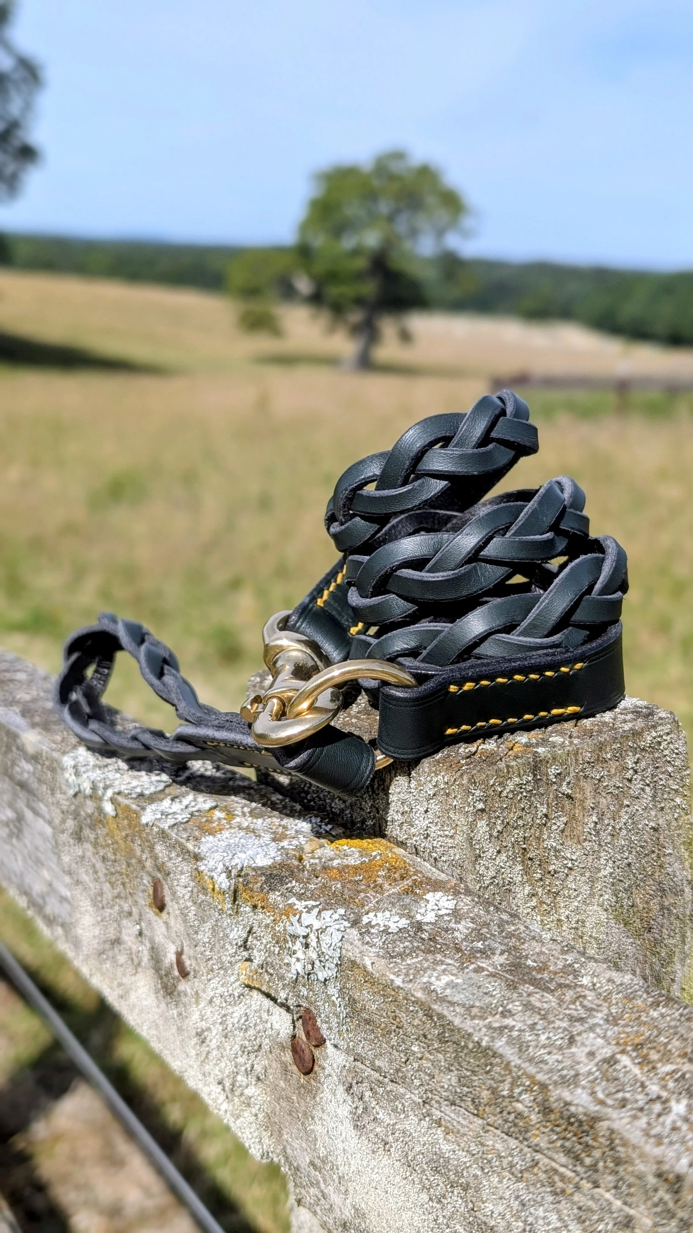 The Heritage Leather Lead with Magic Plait