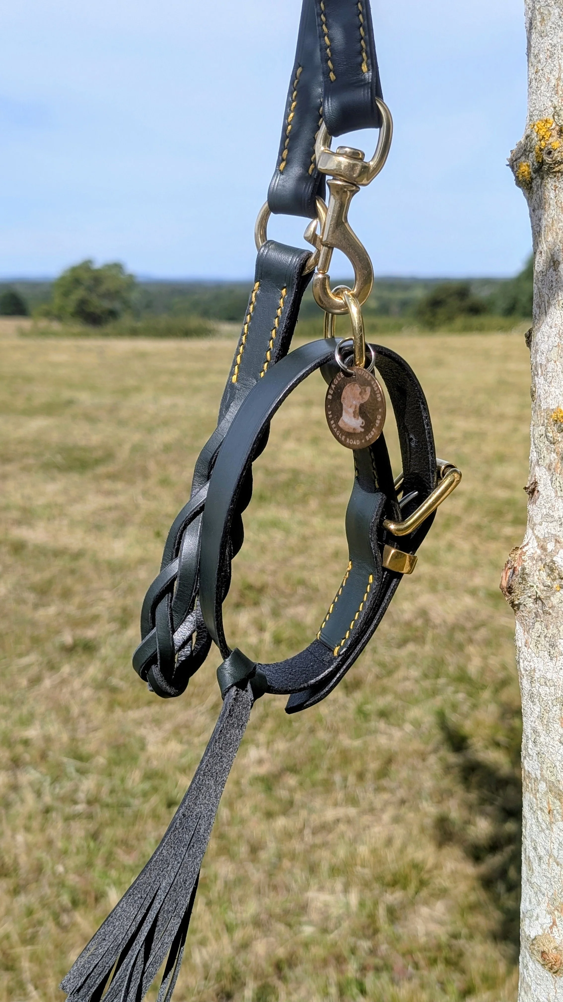 The Heritage Leather Dog Accessories Set