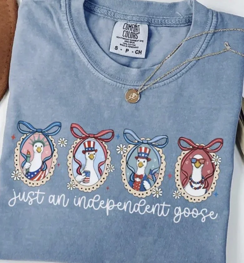 Independent Goose.jpeg