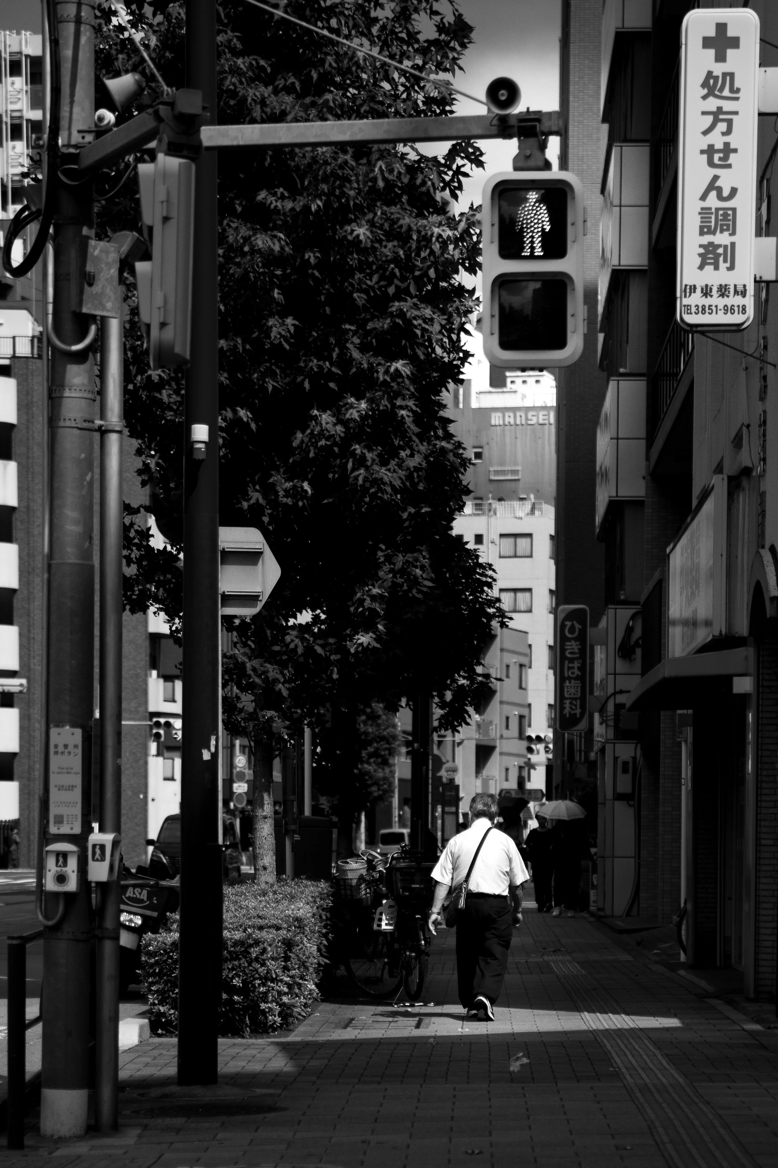 The Japanese man